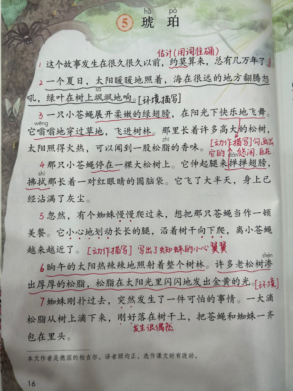 四下课堂笔记|第五课 琥珀 #小学语文# #课堂笔记# #小学语文课堂笔记