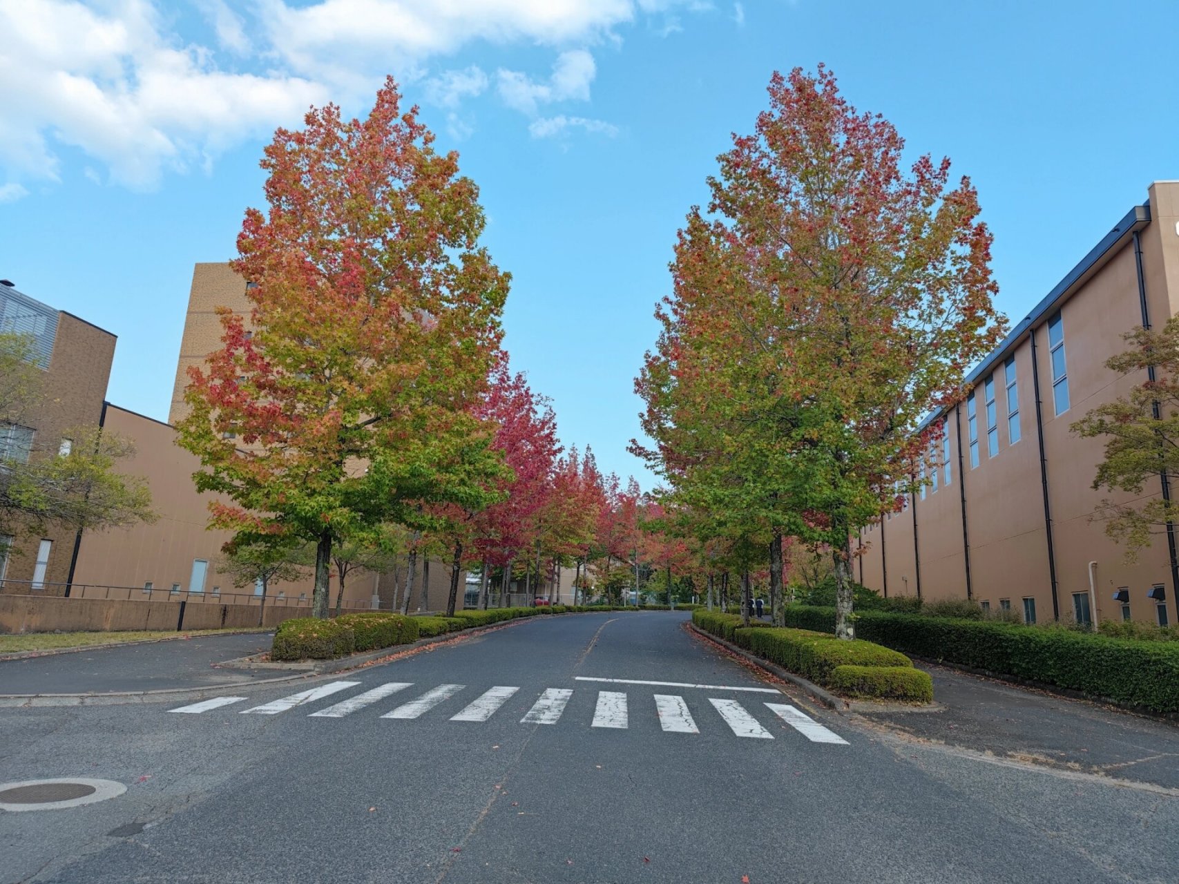 广岛大学焊接图片