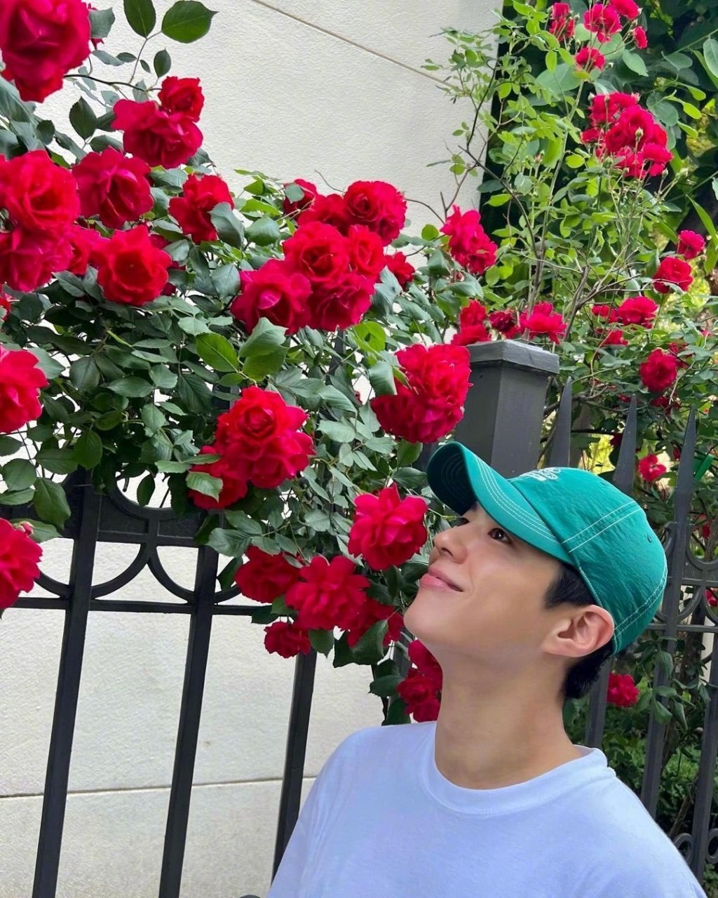 朴宝剑# ins更新,5207815