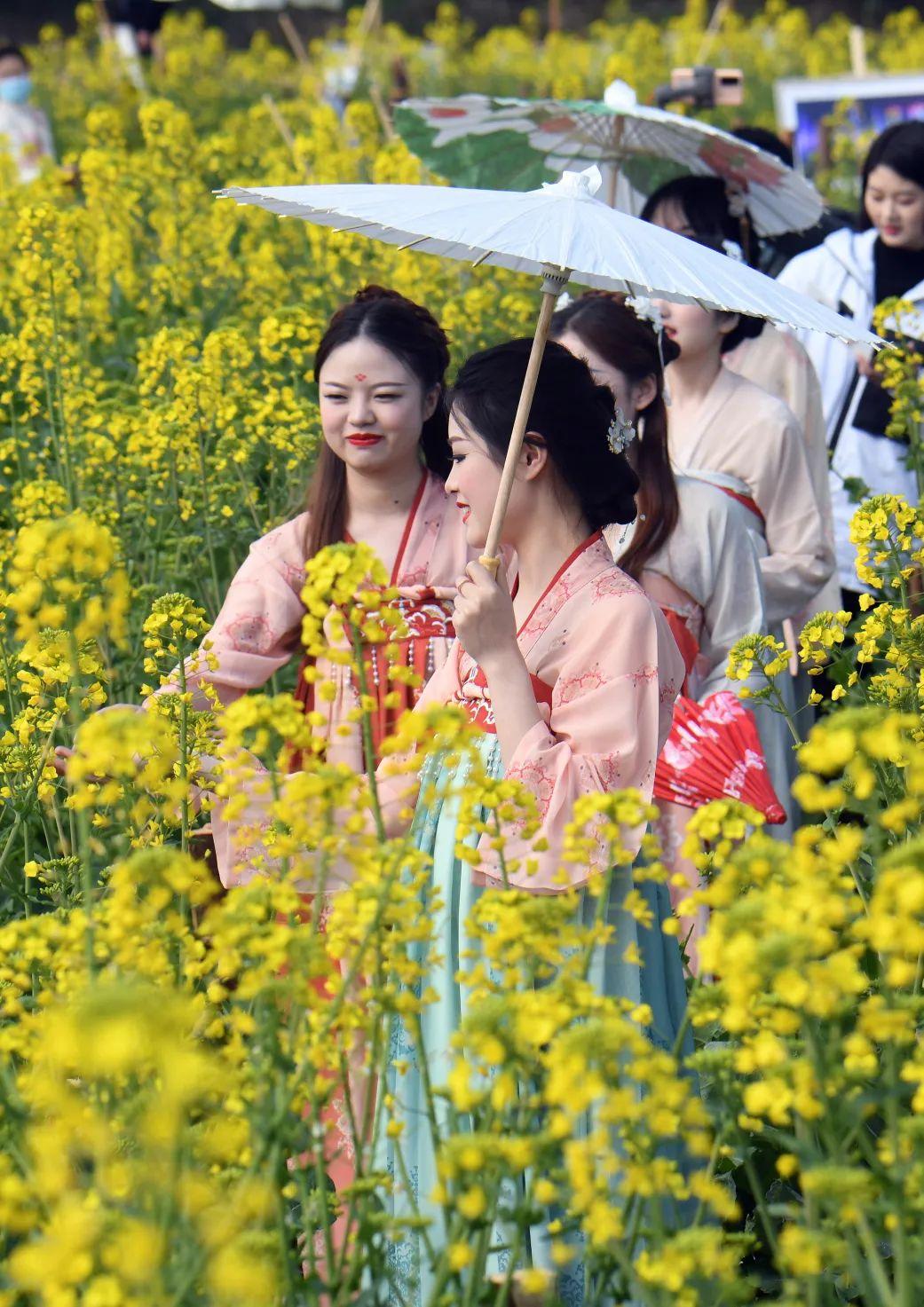 成都规模最大樱花园美到窒息就在金堂