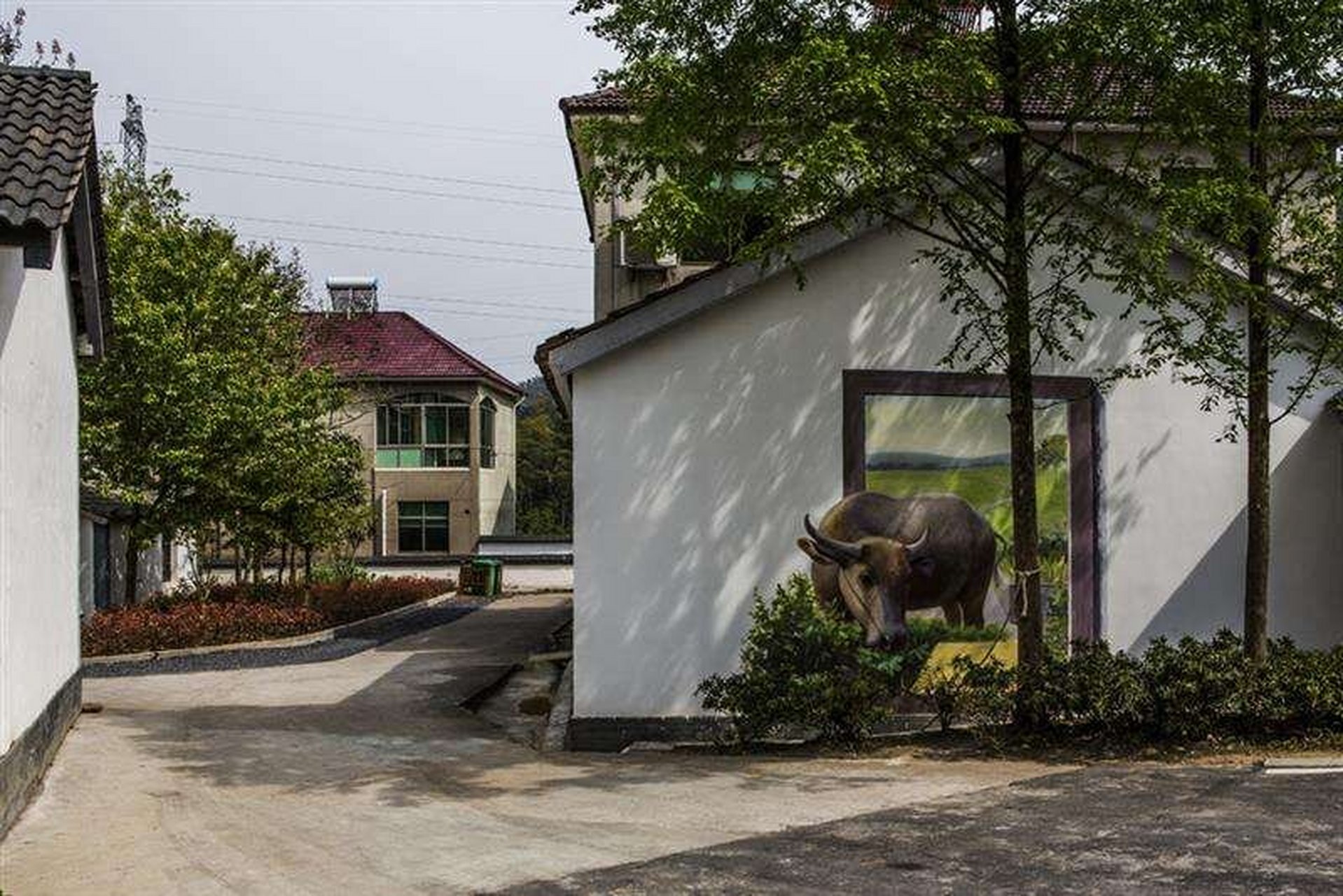 探寻美丽乡村,感受自然之美——横山坞村目莲坞自然村】999015