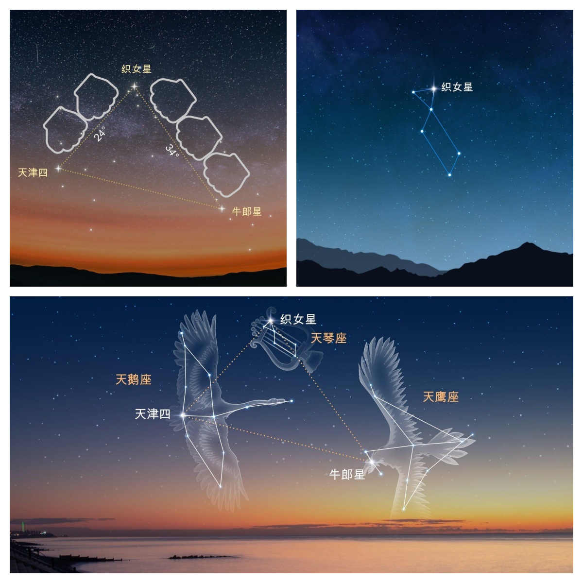 夏季星空的资料图片