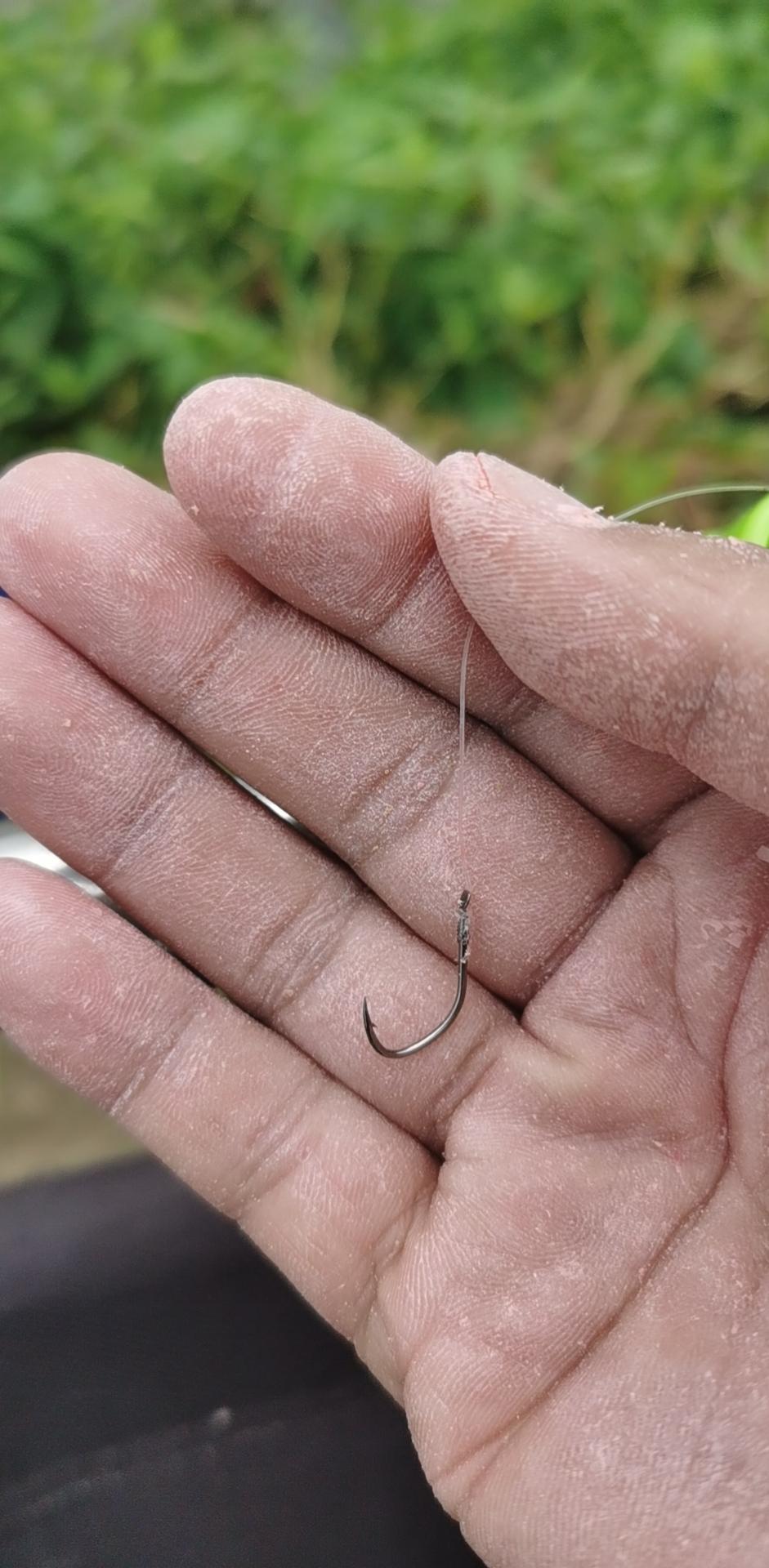 钓鱼的乐趣只有钓鱼人懂 5 3线组8号伊势尼钩子