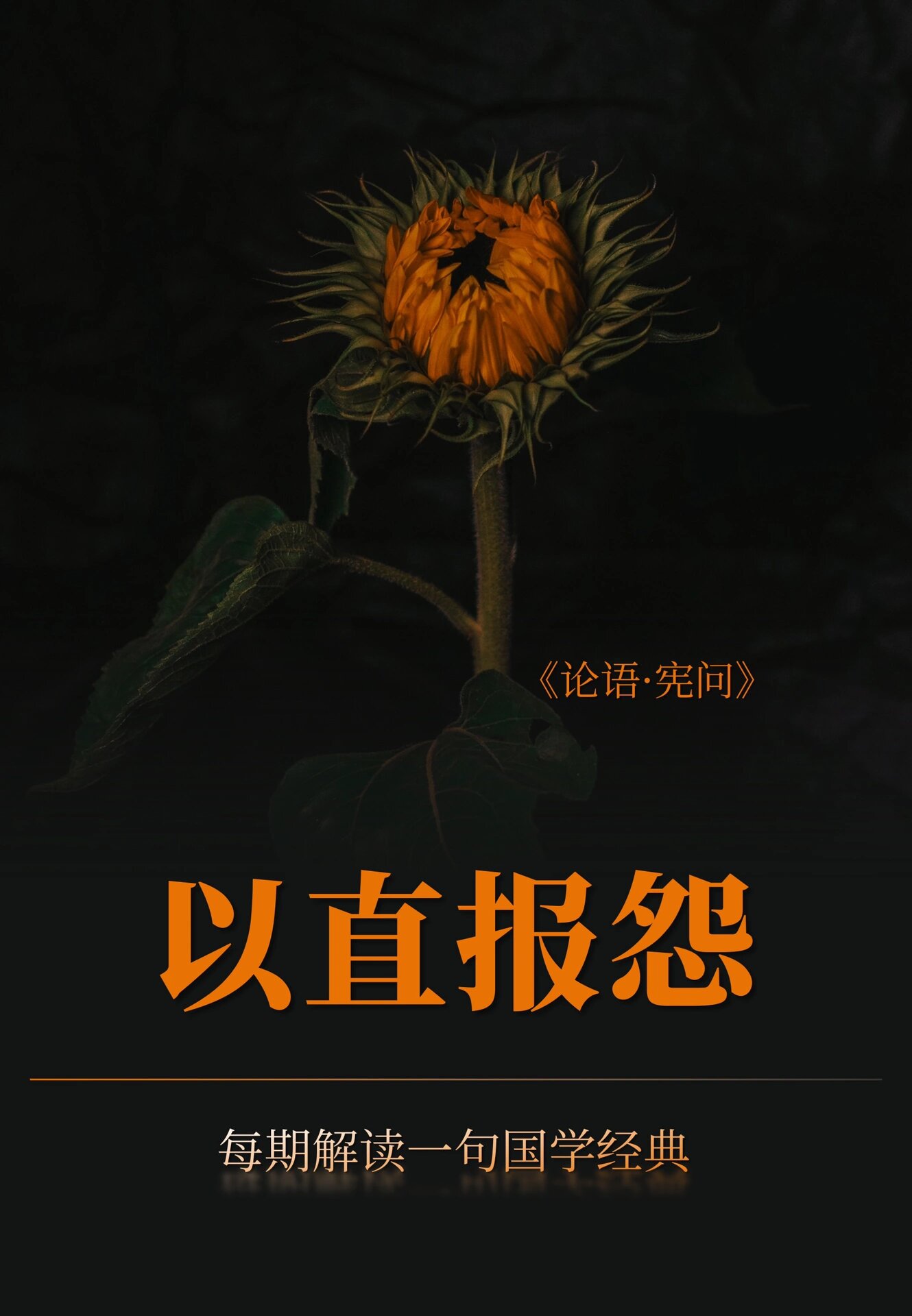 以直报怨丨国学经典解读第09期