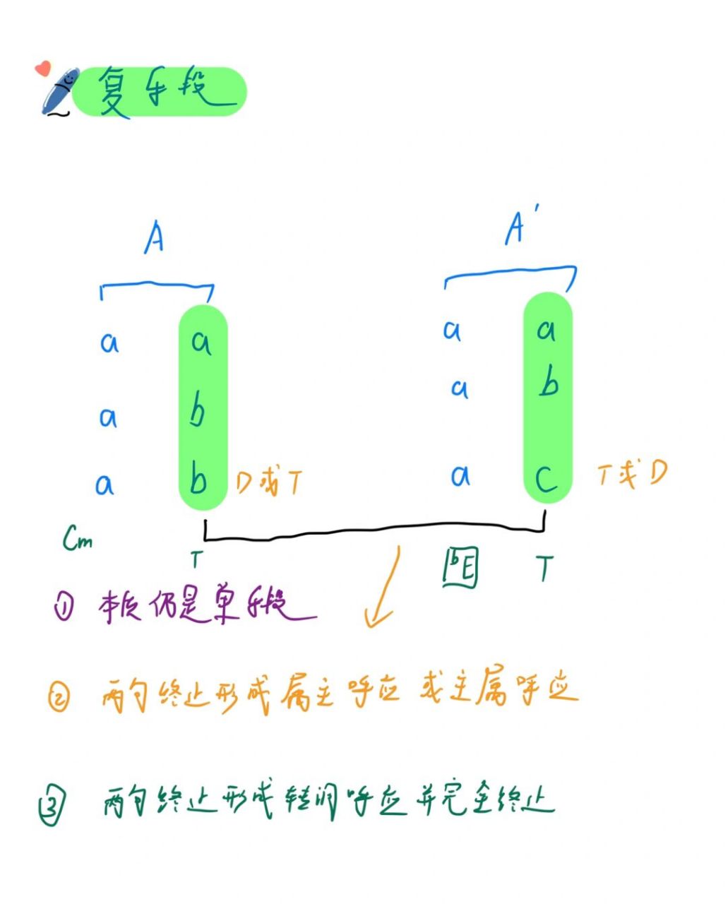 曲式结构|复乐段 复乐段讲义