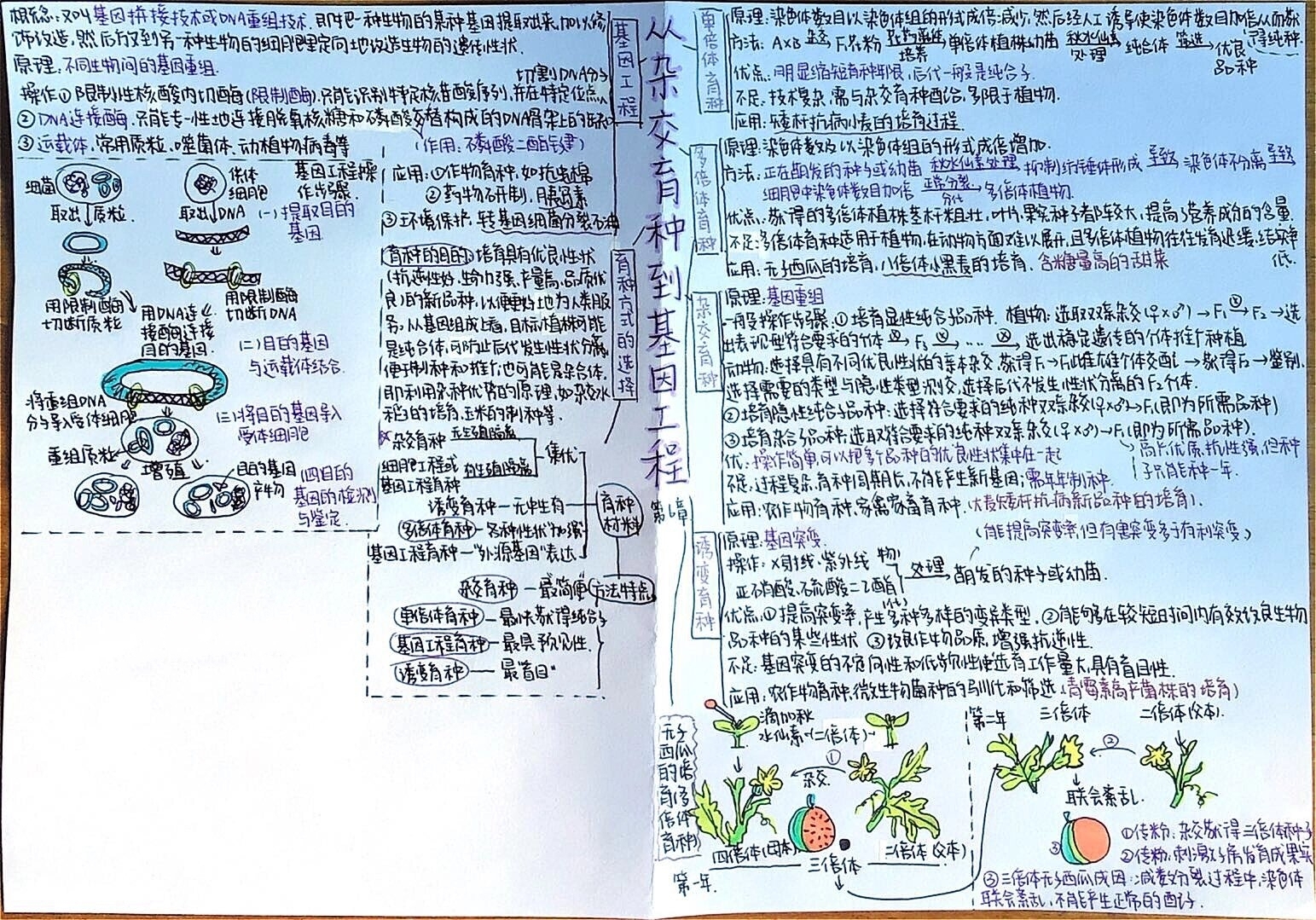 各种育种思维导图