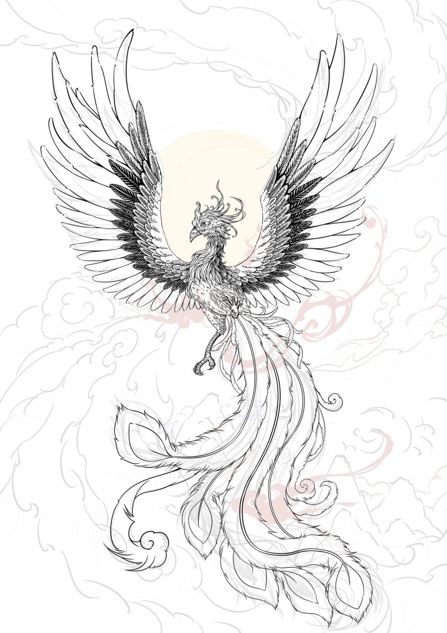 原创插画|四圣兽(2)朱雀 软件:ps 工具:手绘板 朱雀,天之四灵之一
