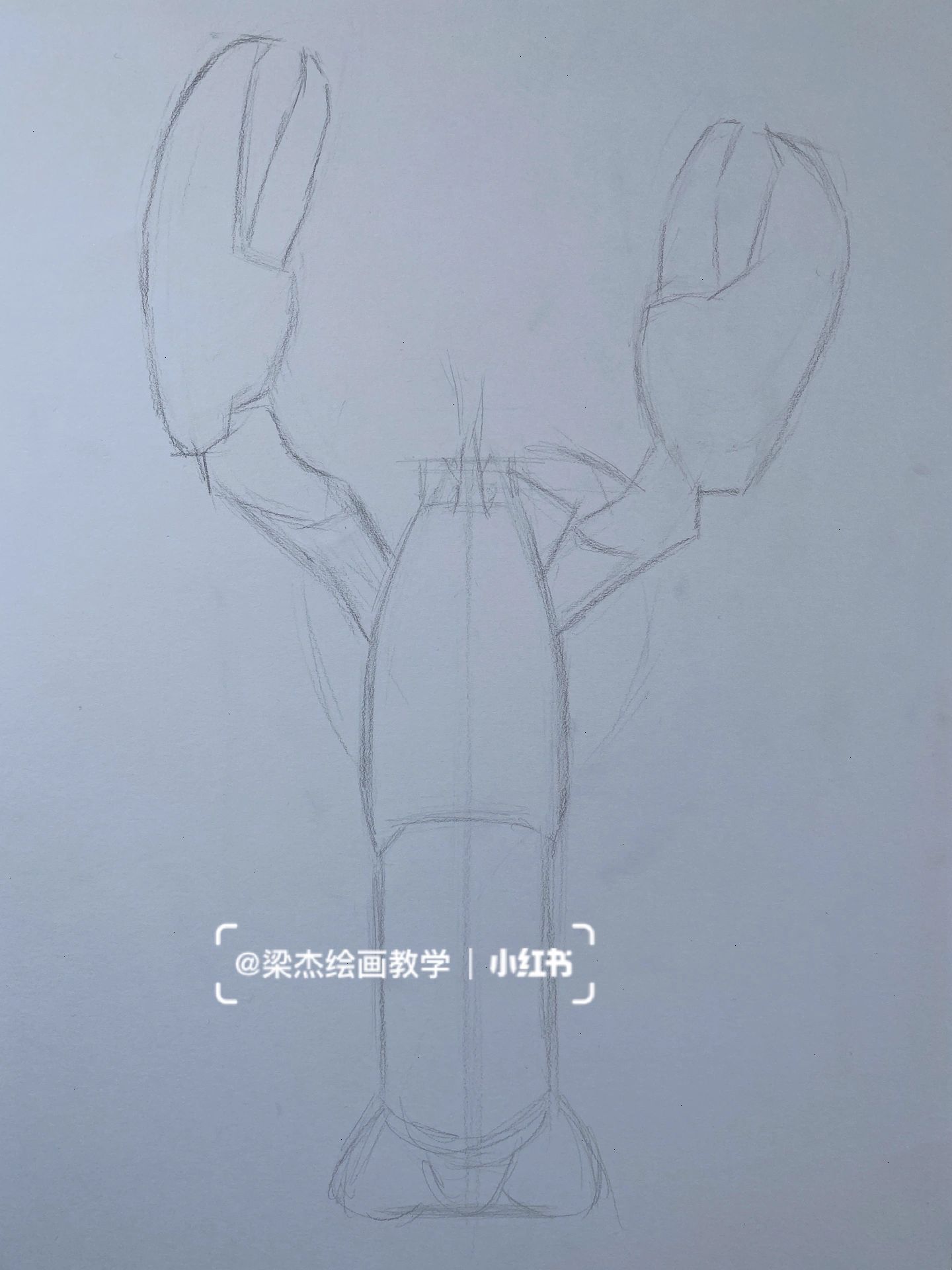 素描龙虾步骤图