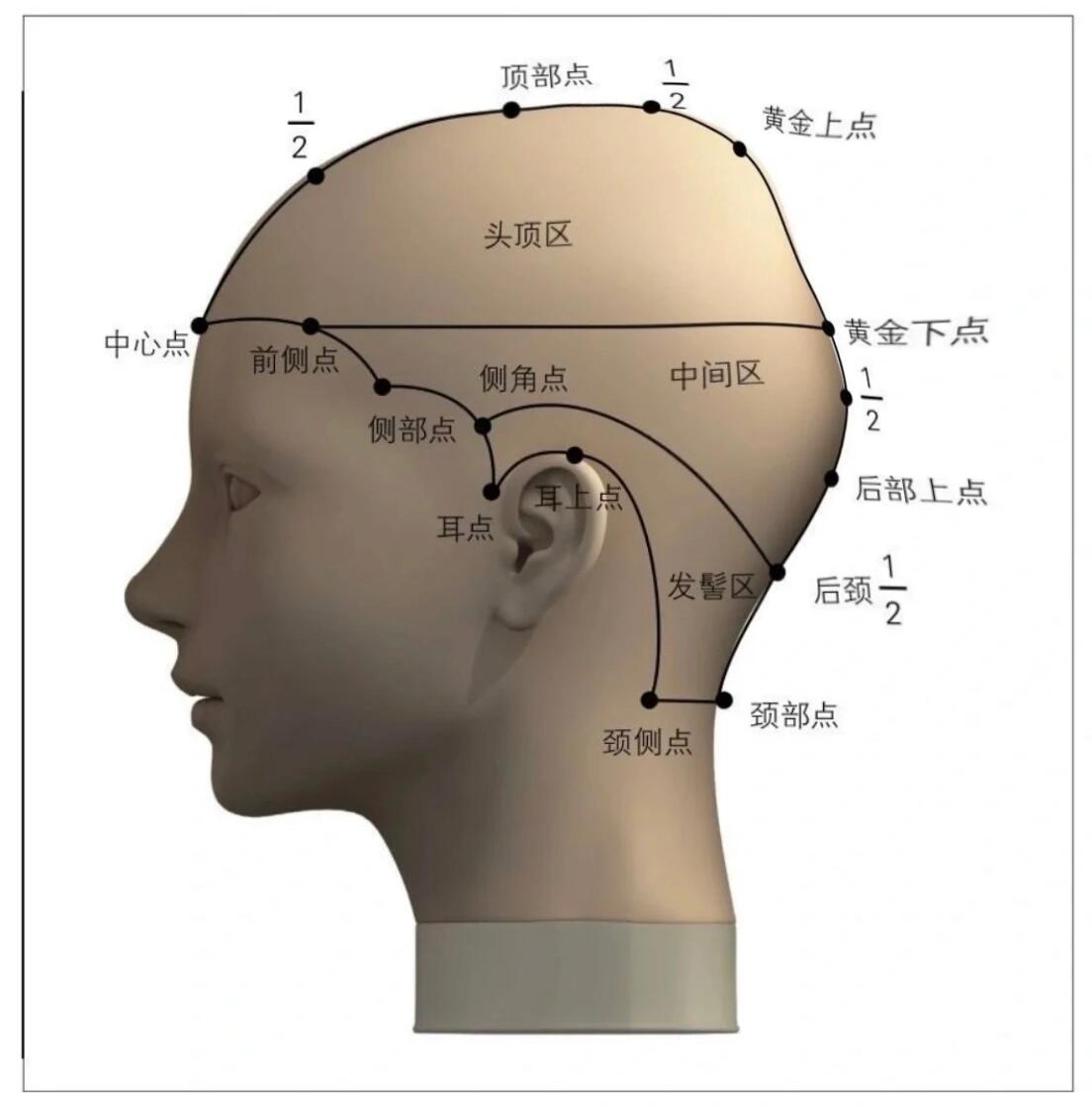 有没有人是这种扁头 从小就觉得自己的头不圆