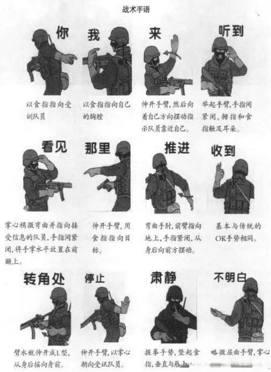 中国特种兵手语图片