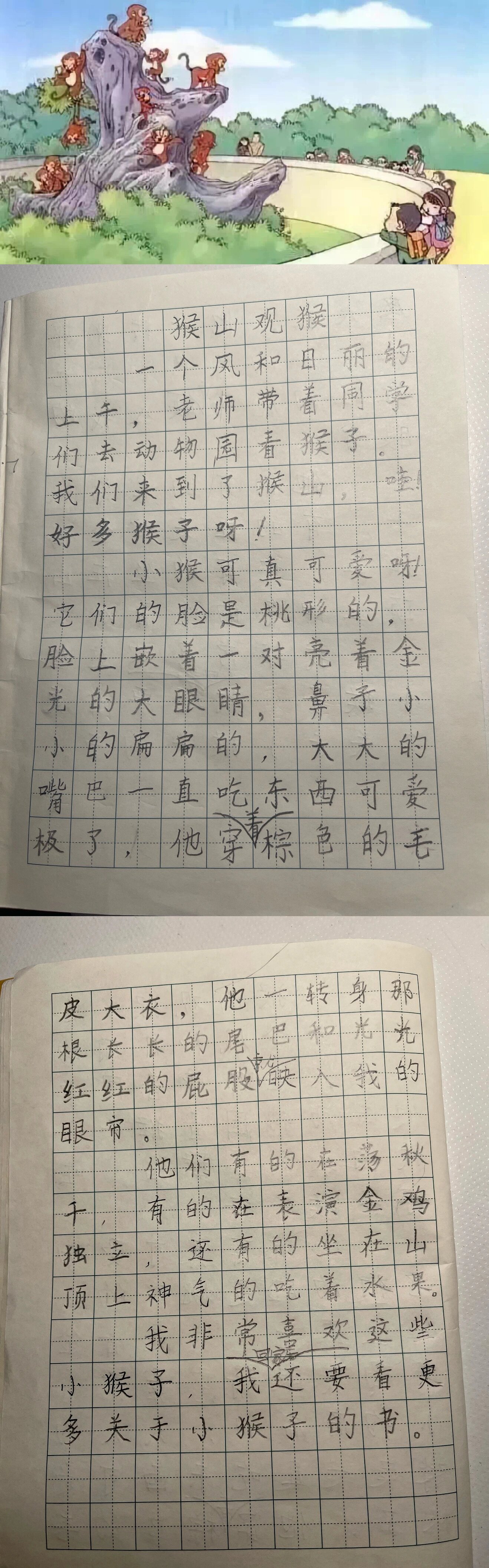 昨日看图写话-猴山观猴