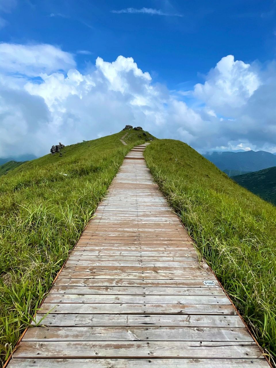 福州周边游 - 鸳鸯草场攻略 福建的朋友想去看草原91 推荐周末去