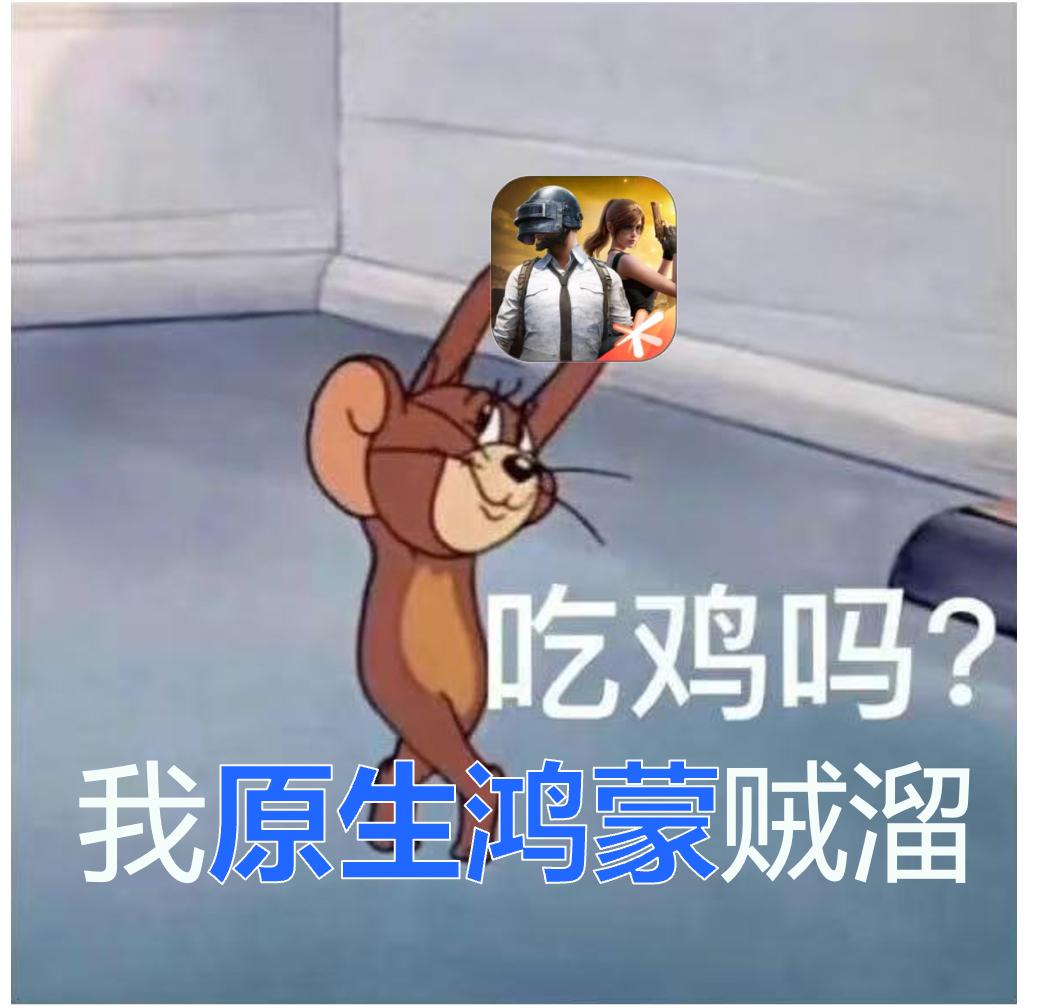 《和平精英》鸿蒙next版先锋测试的启动,鸿蒙操作系统