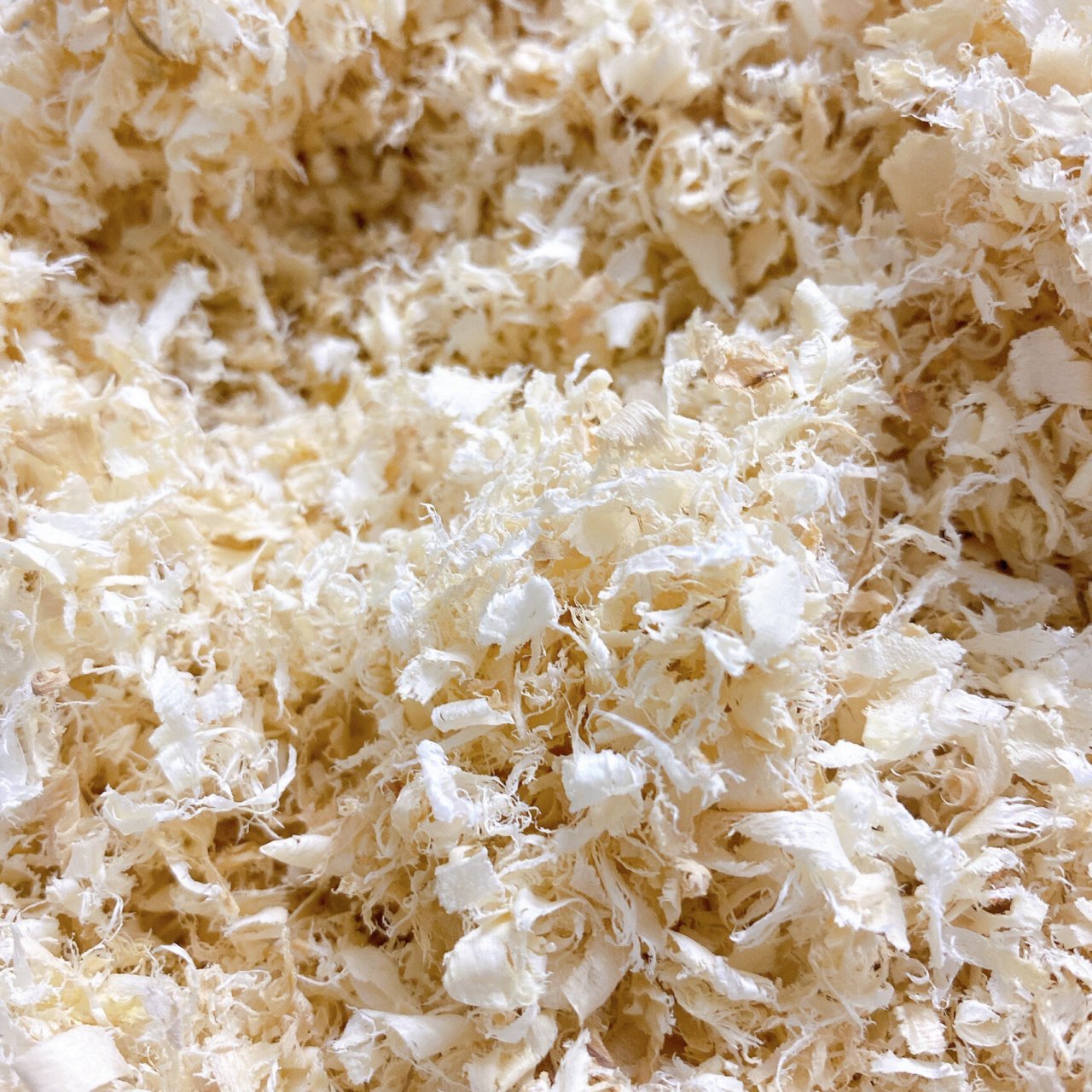 安利一款木屑刨花 【99回忆宠爱】家即将上架的木屑,年前宠爱家给我