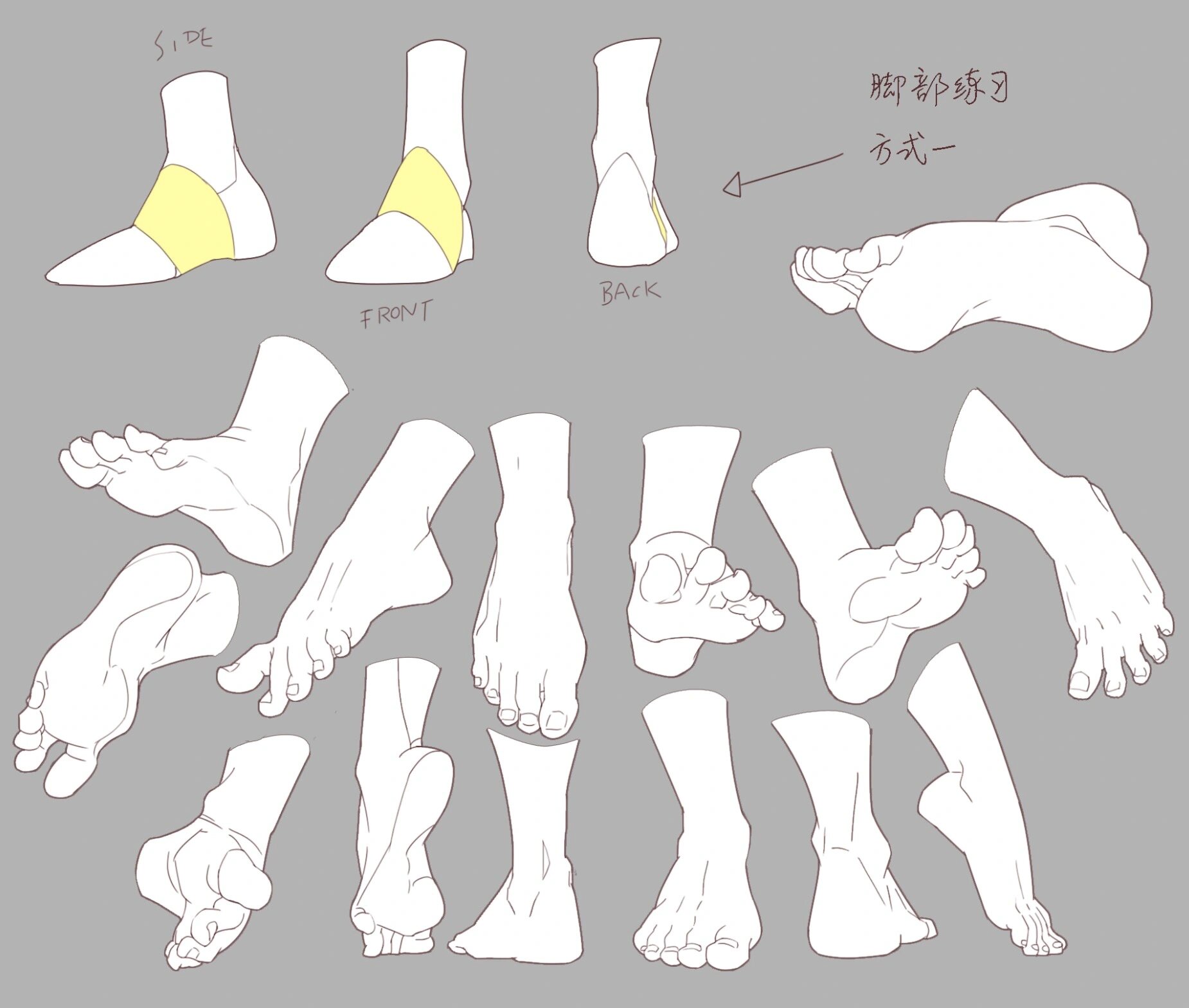 足部教程 脚怎么画?看这里  脚部绘画素材来啦