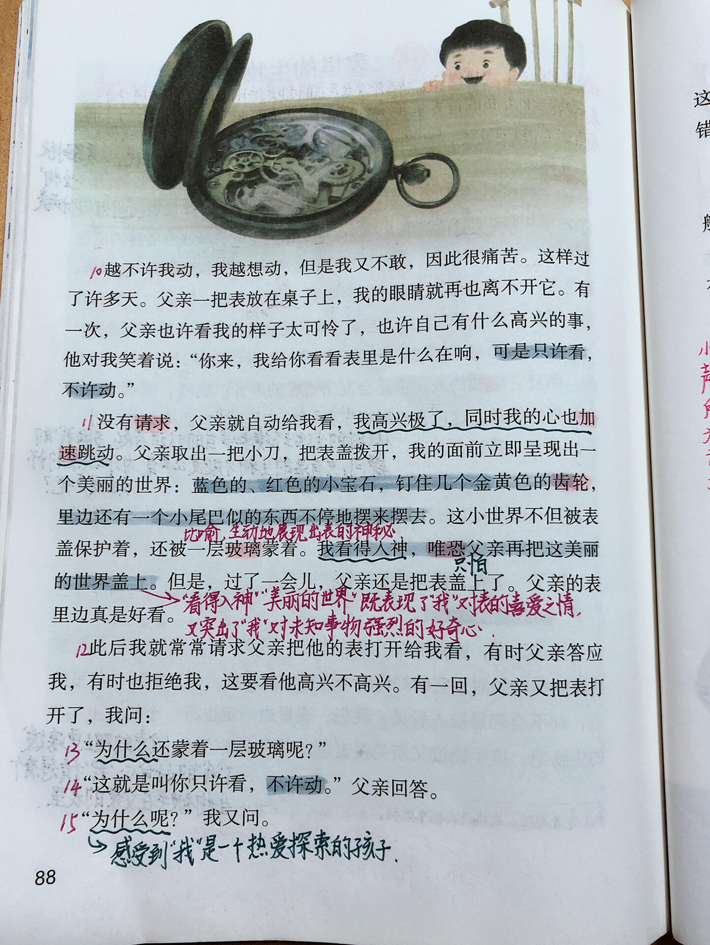 六下《表里的生物》笔记