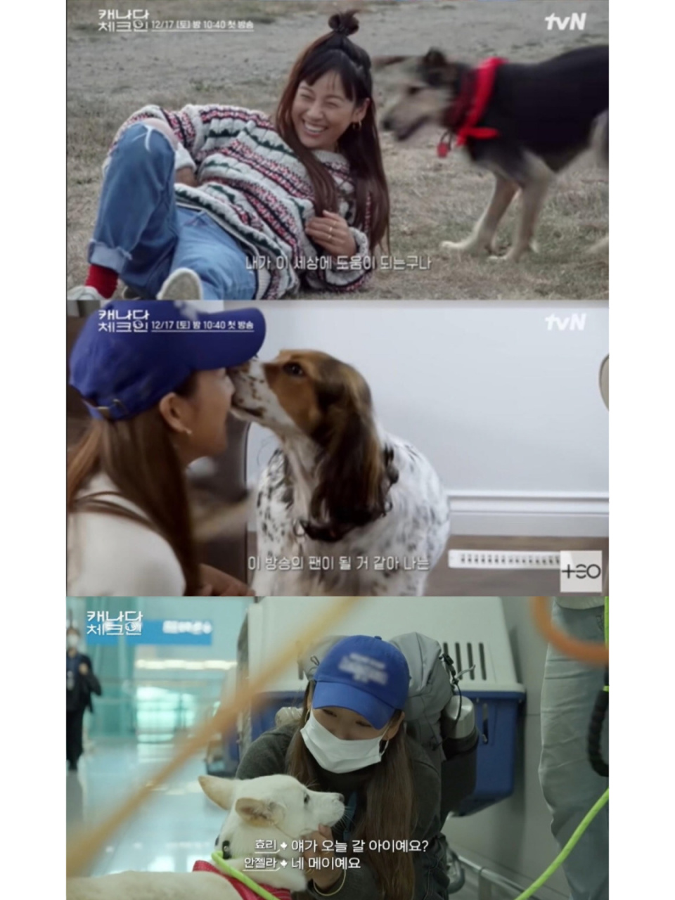 我在看的爆哭综艺(5/100) 《加拿大 check in》是李孝利和金泰浩pd