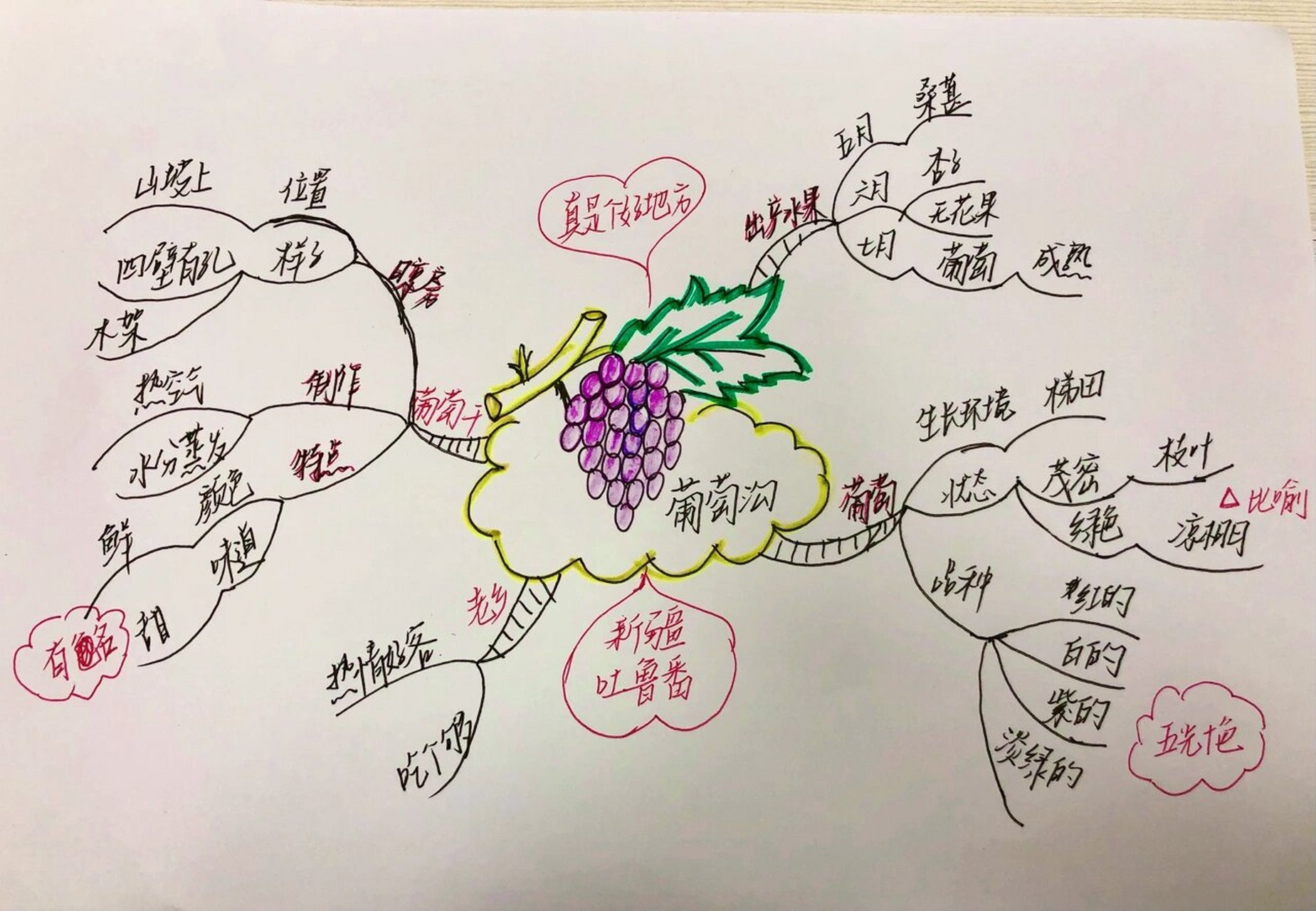 《葡萄沟》思维导图 又是粗糙的画风…赶着开会去
