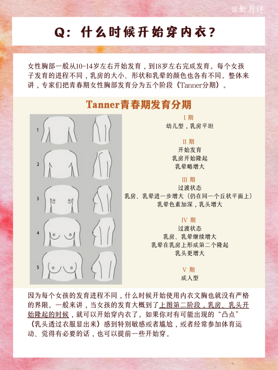 儿童乳房正常发育标准图片