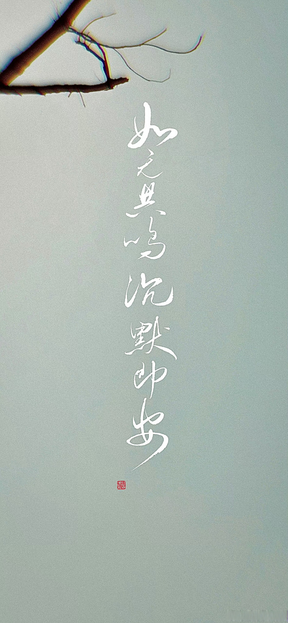 "如无共鸣沉默即安"