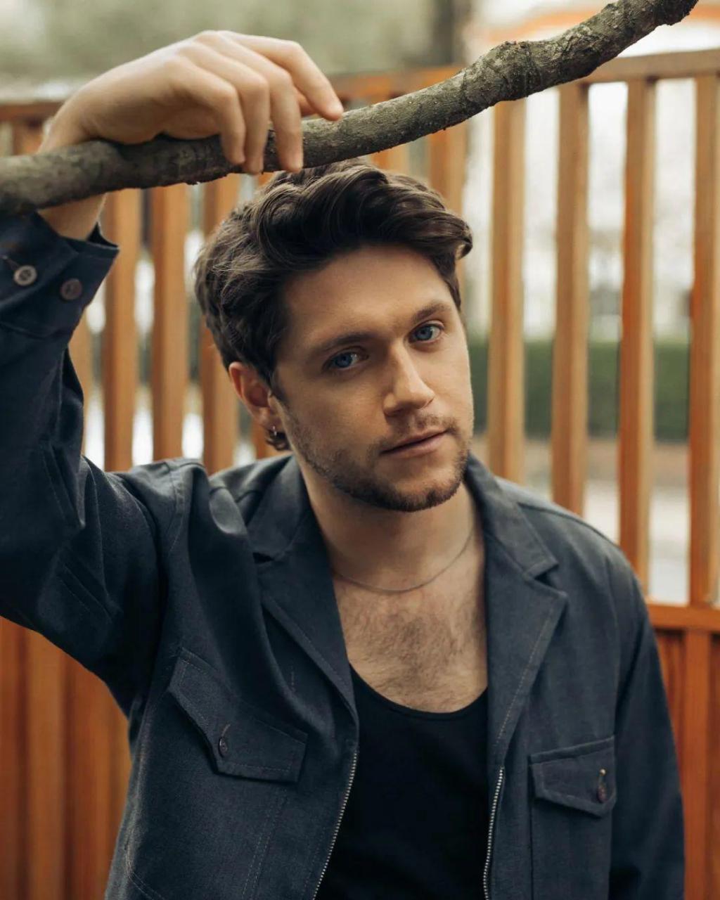 爱尔兰的温暖治愈系男歌手"奶儿" niall horan(尼尔·霍兰)发了新专辑
