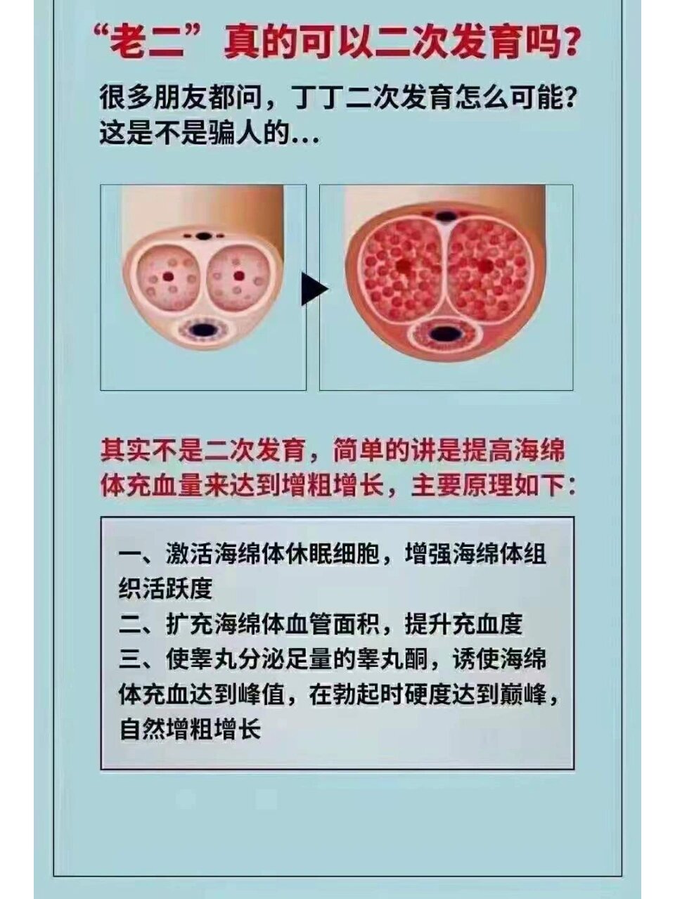 其实不是二次发育,简单的讲是提高海绵体充血量来达到增粗增长 主要