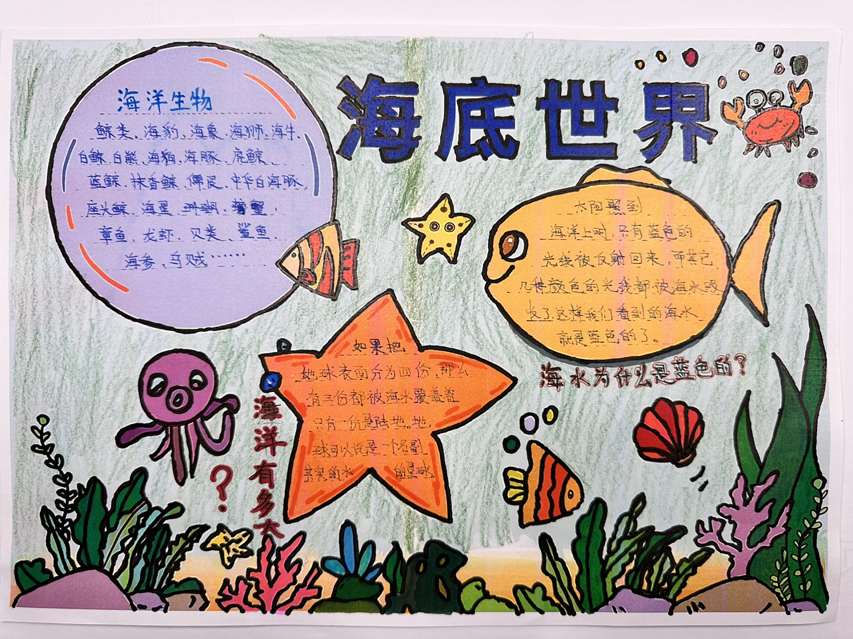 海洋海底世界手抄报 手残党感觉被老师也慢慢逼出作业了…… 软件抄图