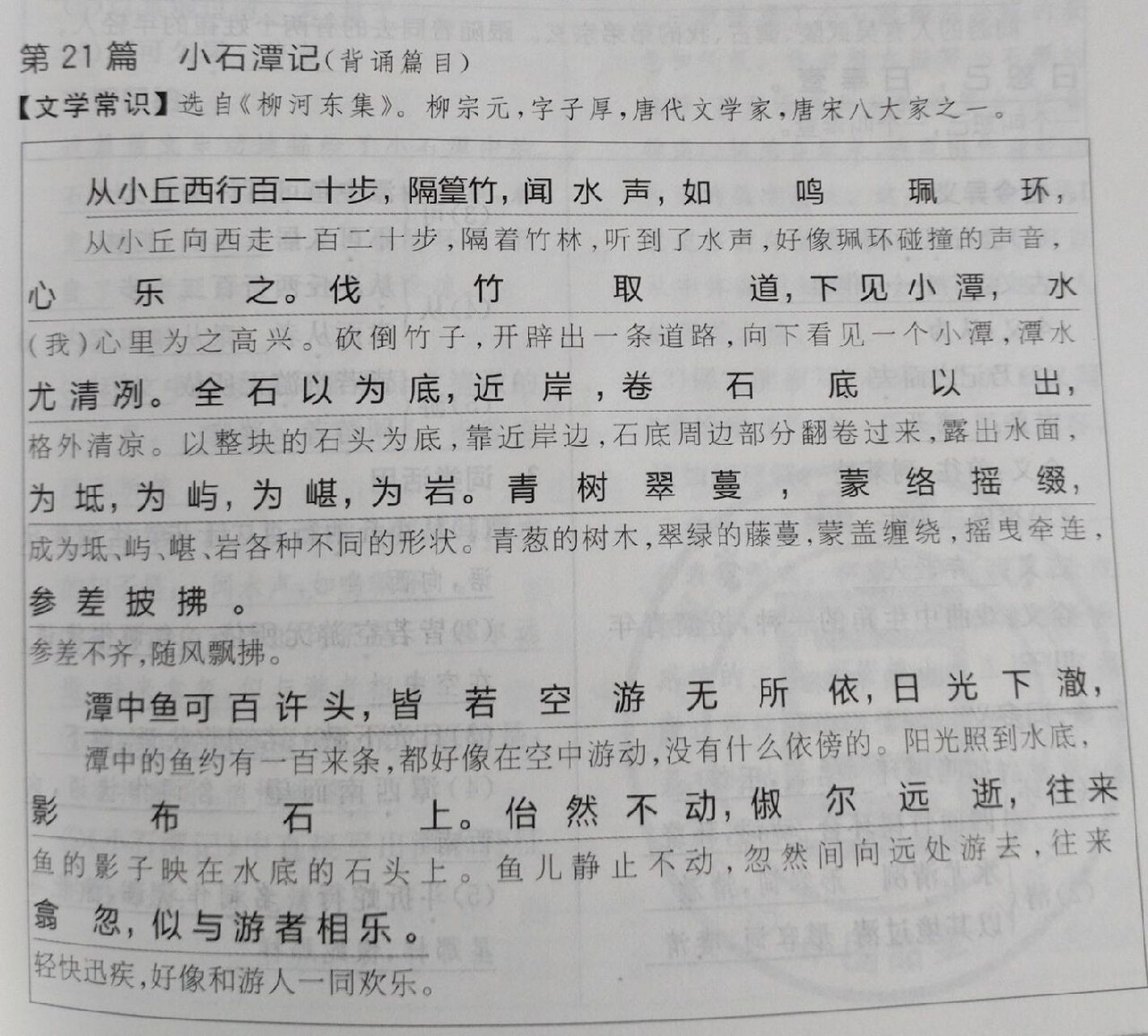 八下语文小石潭记翻译 八下语文小石潭记翻译