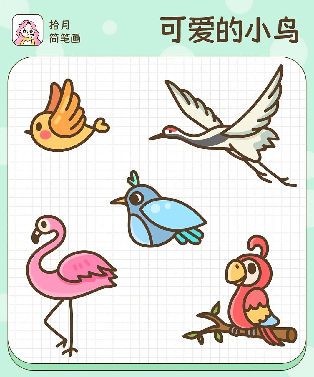拾月简笔画·可爱的小鸟92合集 春眠不觉晓,处处闻啼鸟～ 叽叽喳喳