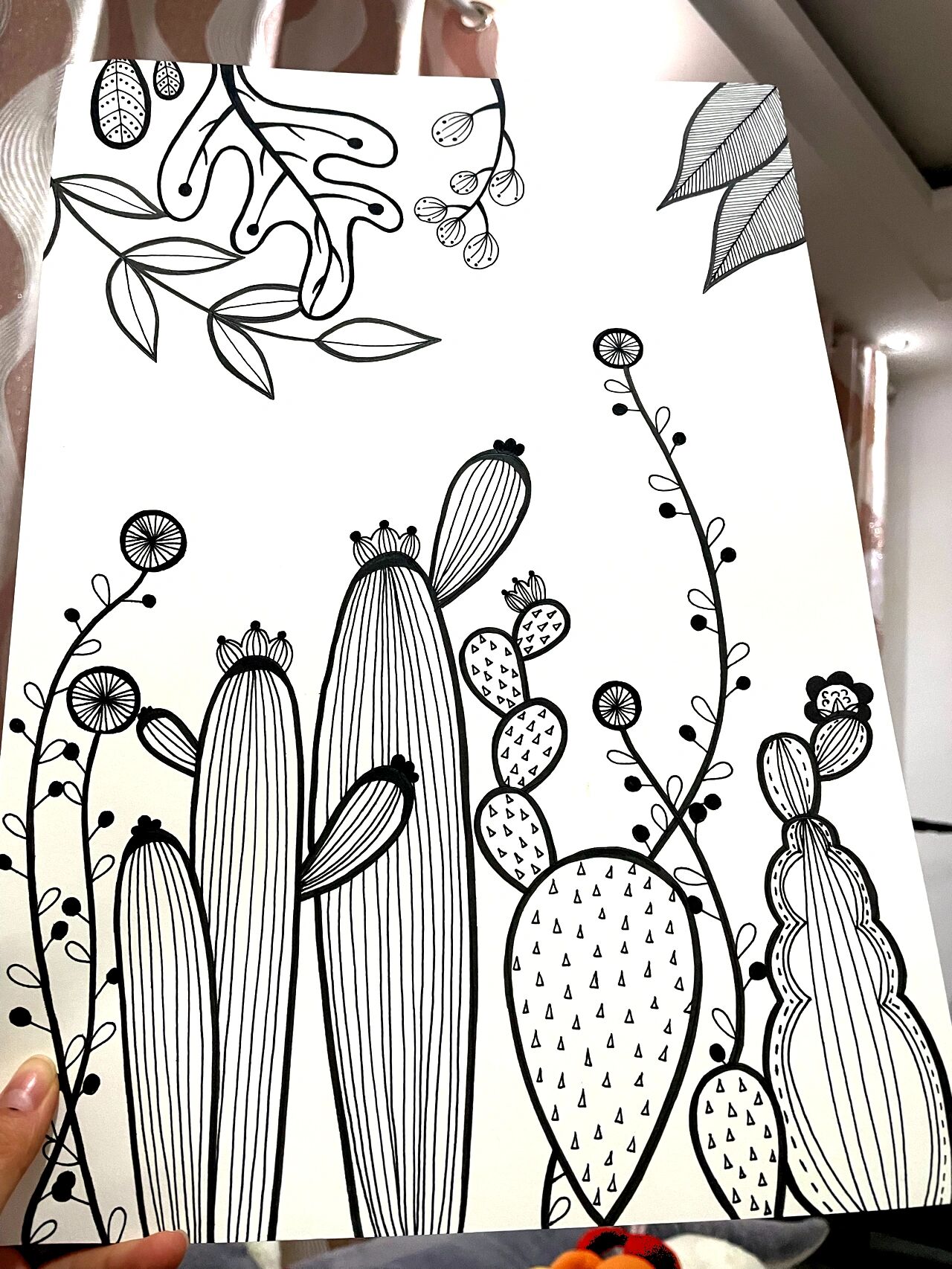 黑白线条画 植物类 临摹 简单易画