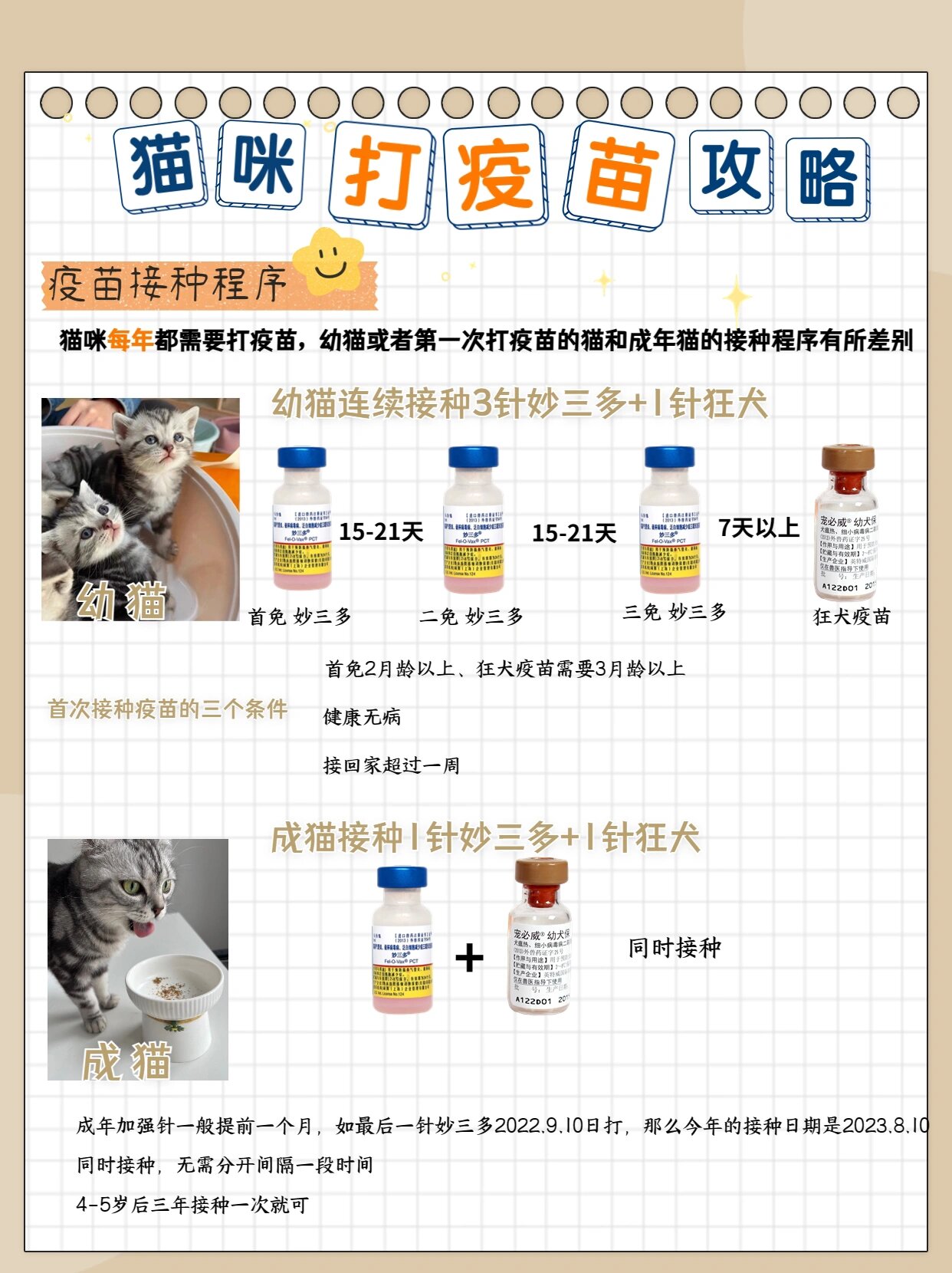 猫打疫苗多少钱图片