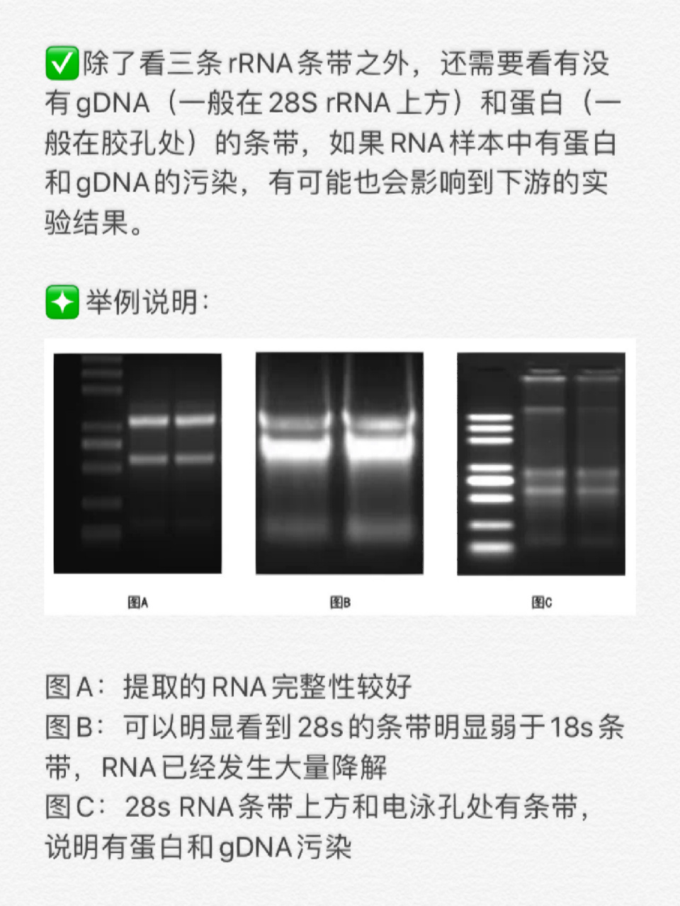 核丰度图片