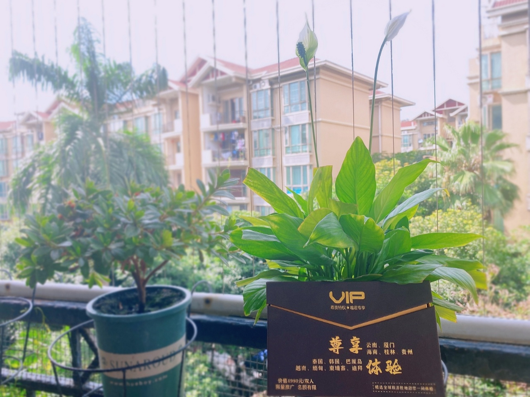 【红蚁旅游·会员价值】 红蚁旅游会员卡不仅超低成本价回馈老百姓