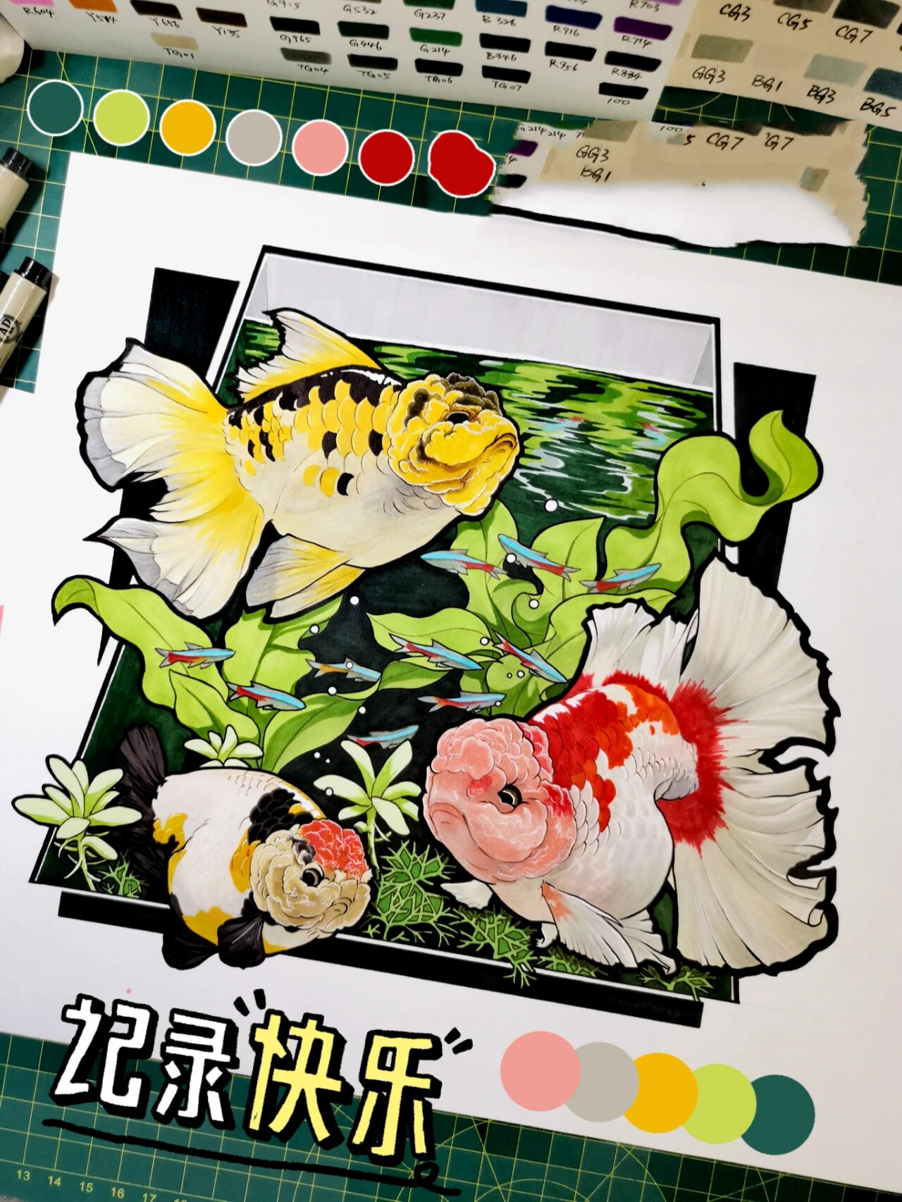 【原创手绘】兰寿金鱼73【内附上色教程】 这幅金鱼前后构思了三天