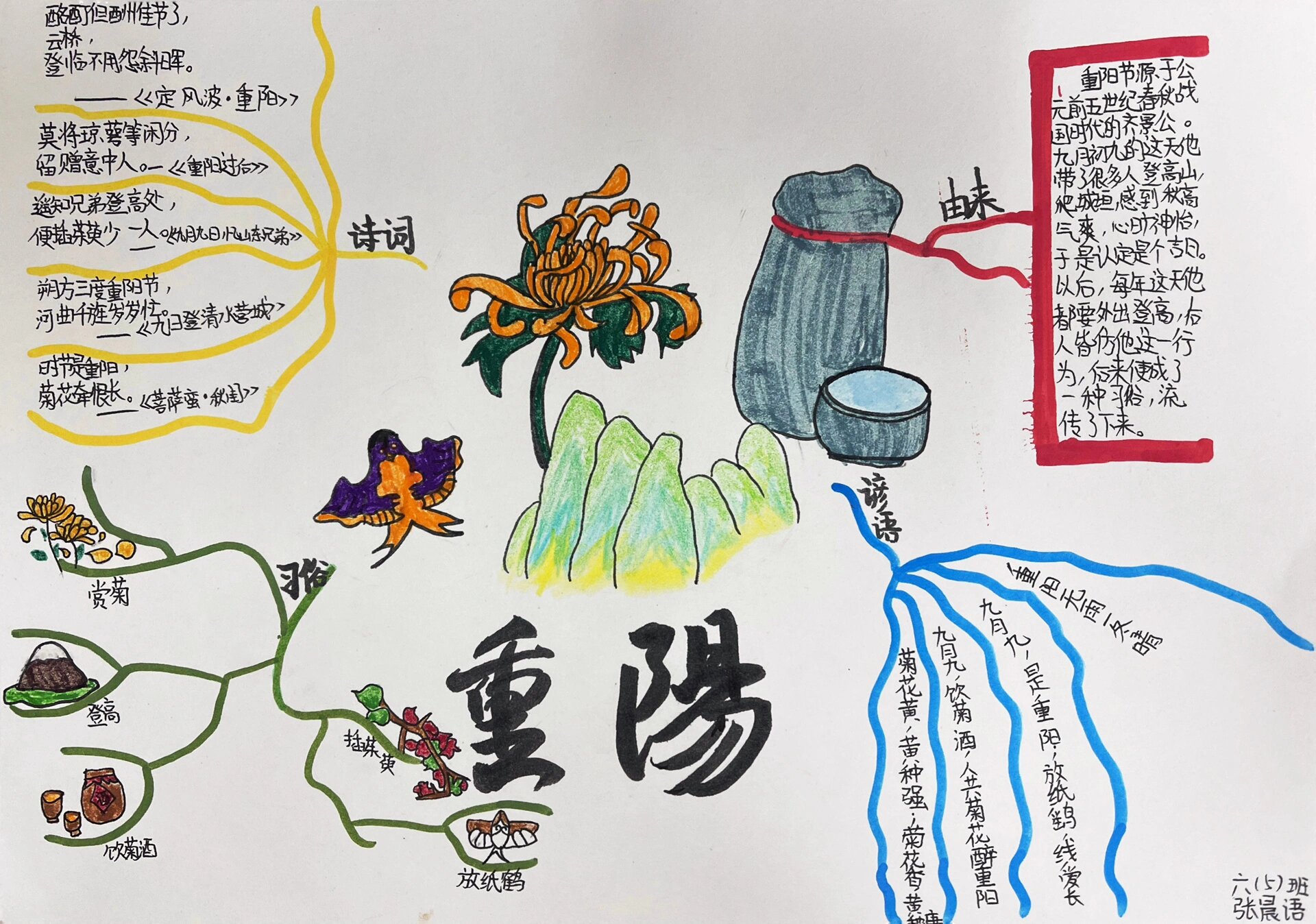 重阳节思维导图