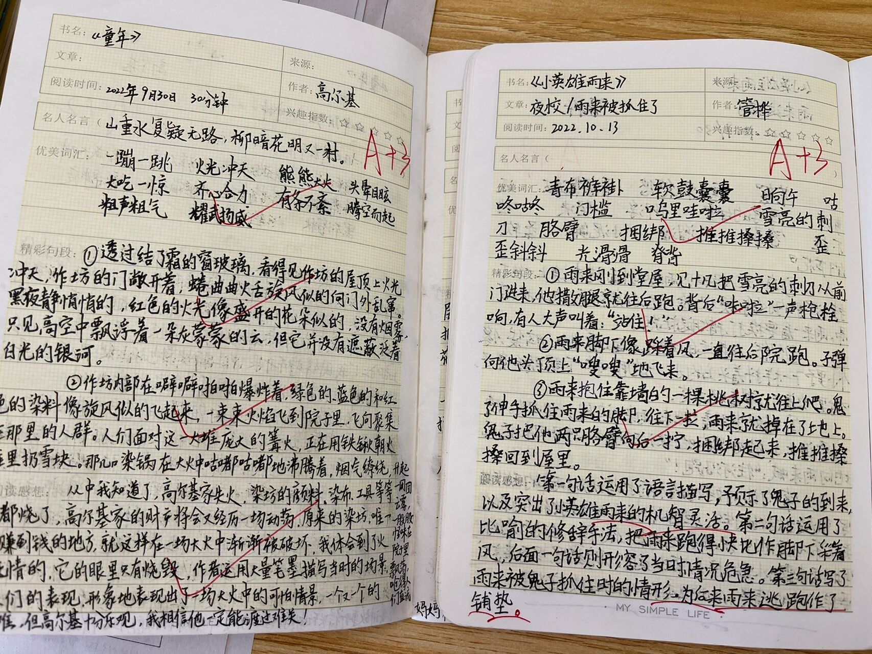 《小英雄雨来》优秀读书笔记      《小英雄雨来》六年级上册必读书目