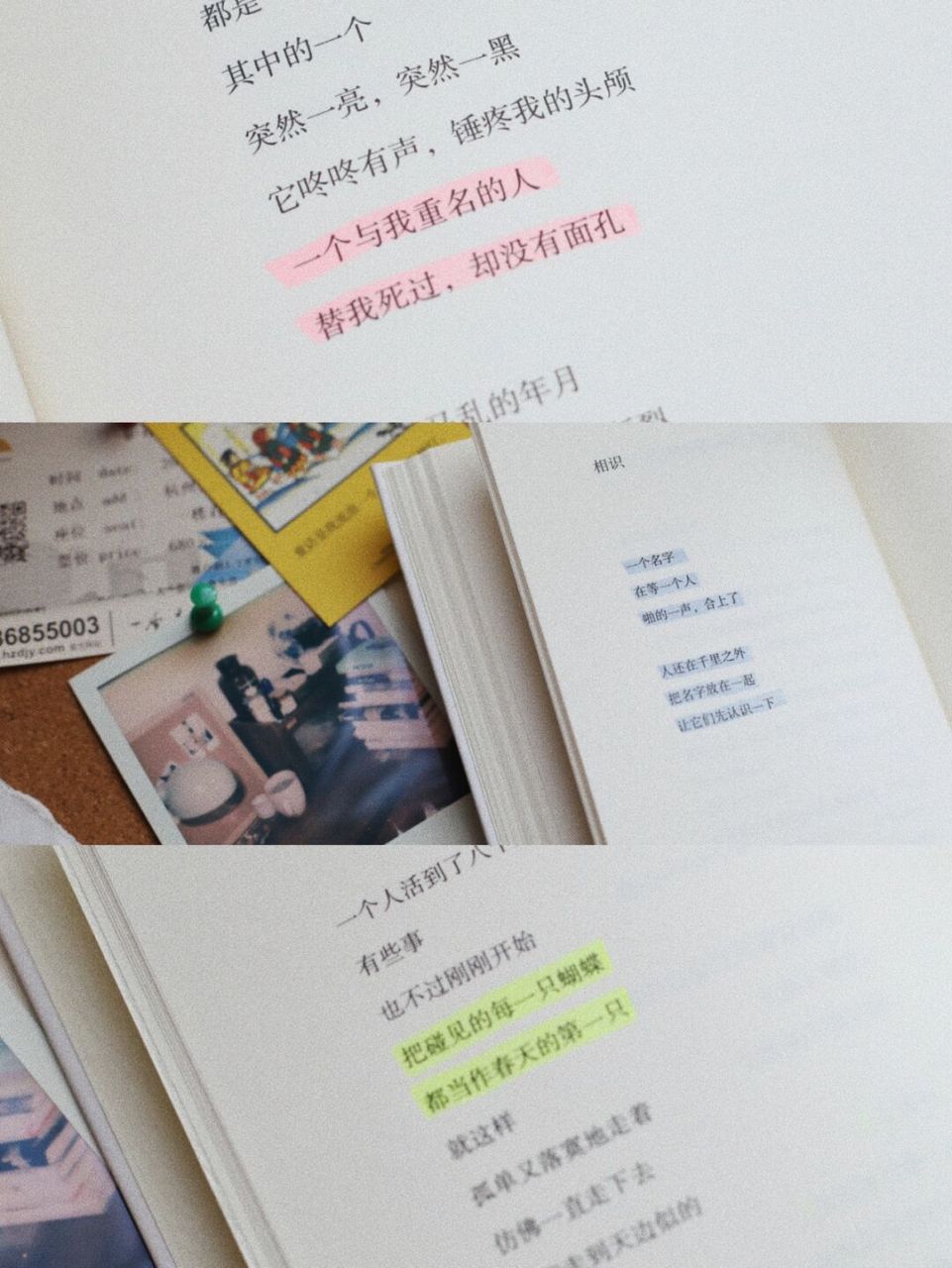 阅读区|我爱这残损的世界|宝藏诗人海桑 98《我爱这残损的世界》