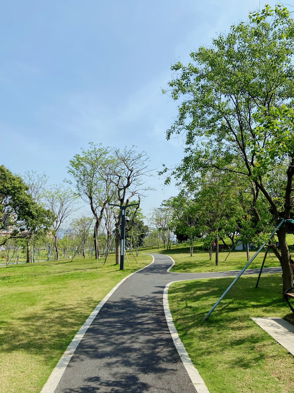 光明遛娃必去9799明湖公园 明湖公园真的太好遛娃了!