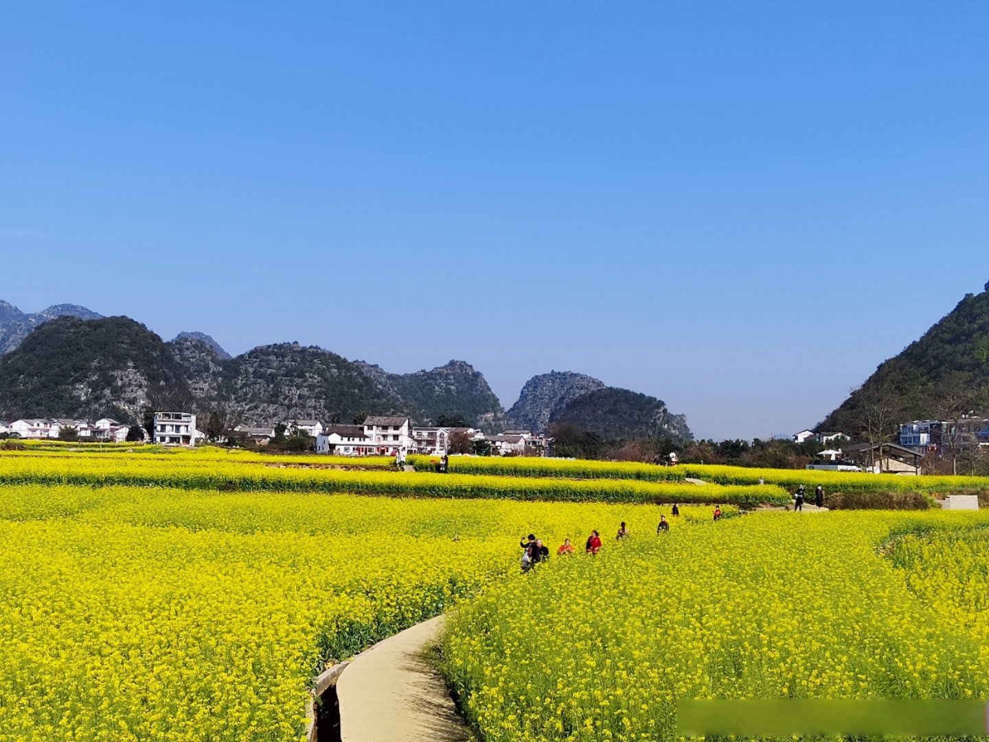 贵州兴义万峰林油菜花海(下篇).