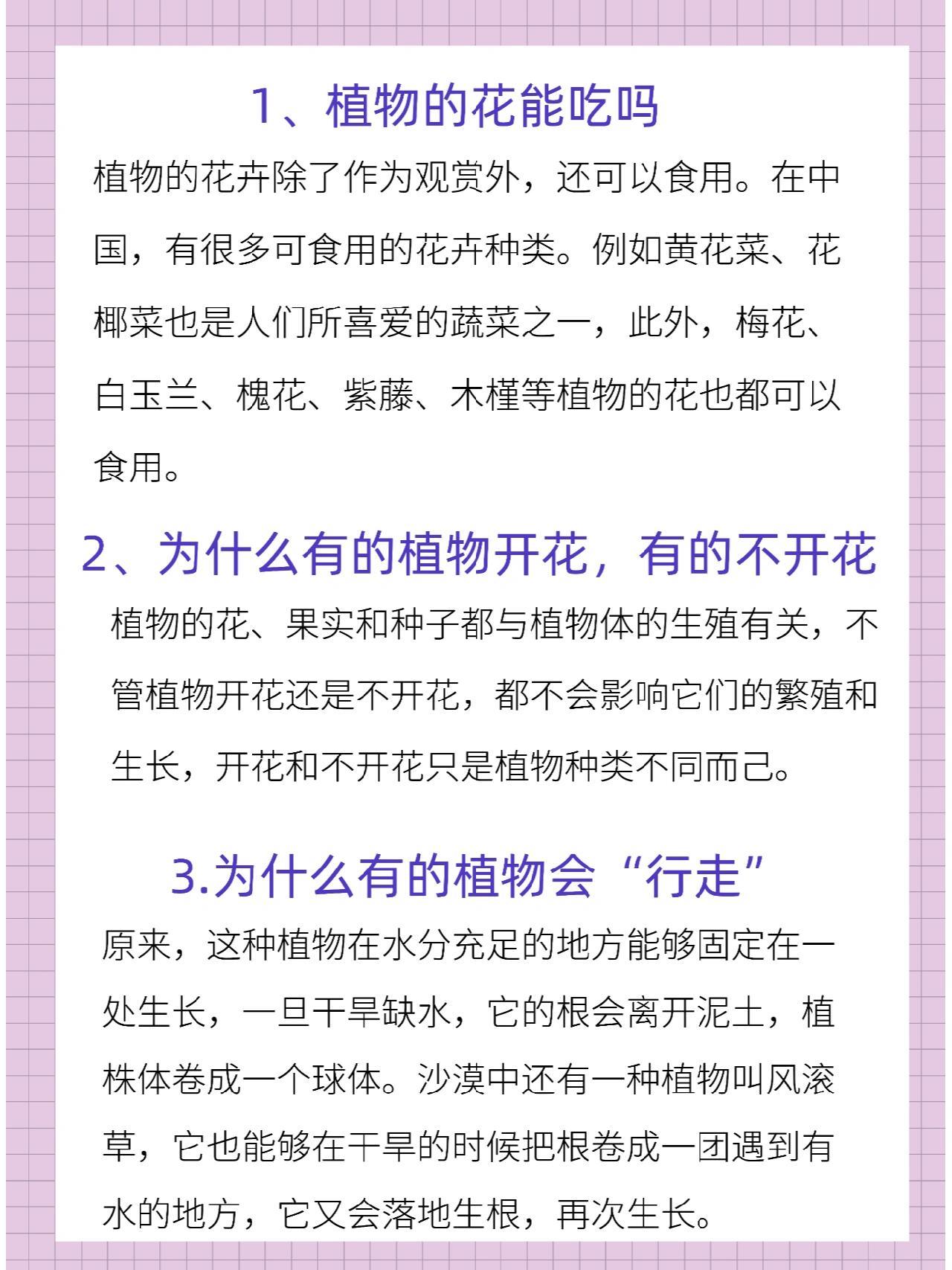 满足孩子好奇心95十万个为什么(植物篇