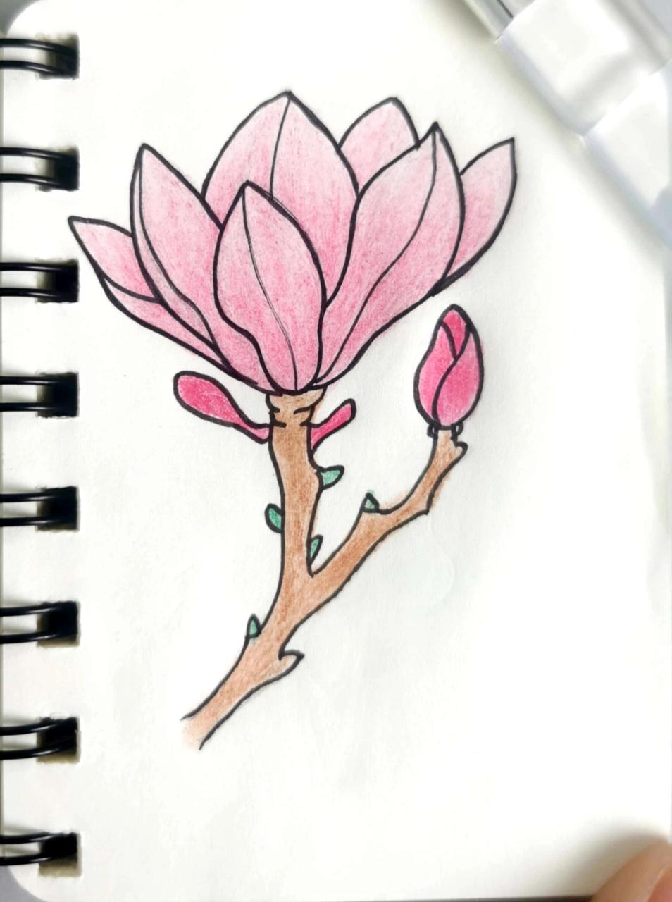 画你喜欢的小花花-玉兰花简笔画(步骤图)