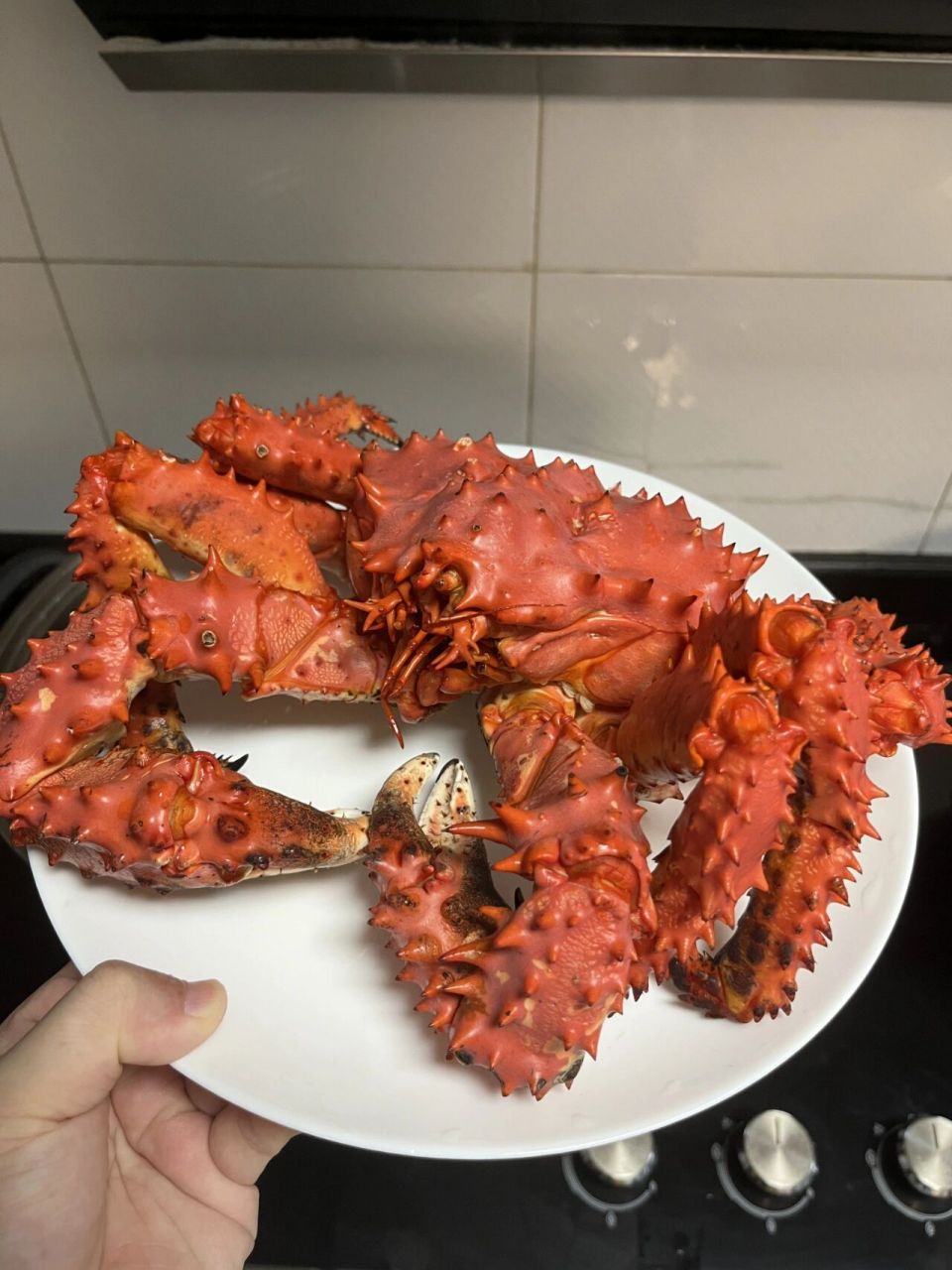 从来没有吃过这种蟹,也太好吃了吧 花咲蟹,又叫花椒帝王蟹,学名短足拟