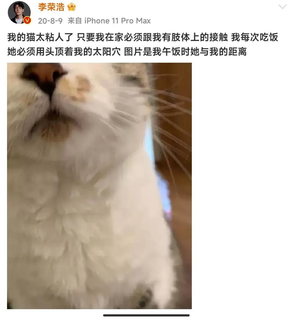 黄磊问李荣浩:"你现在家里有狗吗?