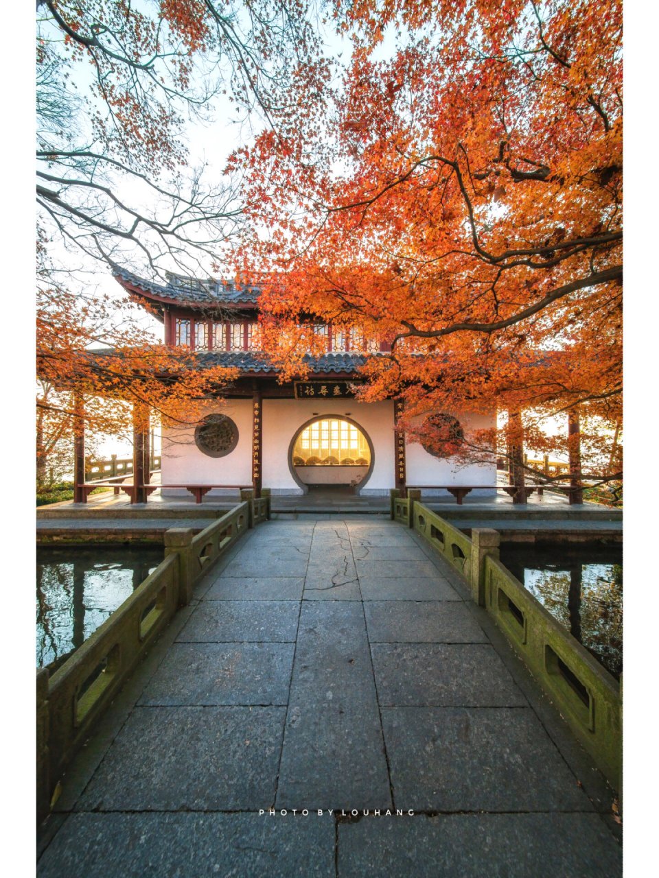 杭州平湖秋月的双枫树 97摄于12月20日上午7:40 	 99孤山平湖秋月