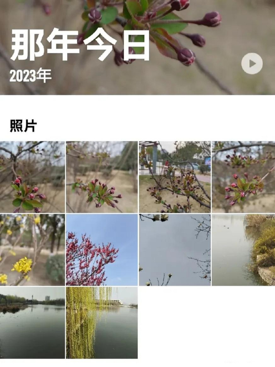 翻看相册看到了去年今日的照片.