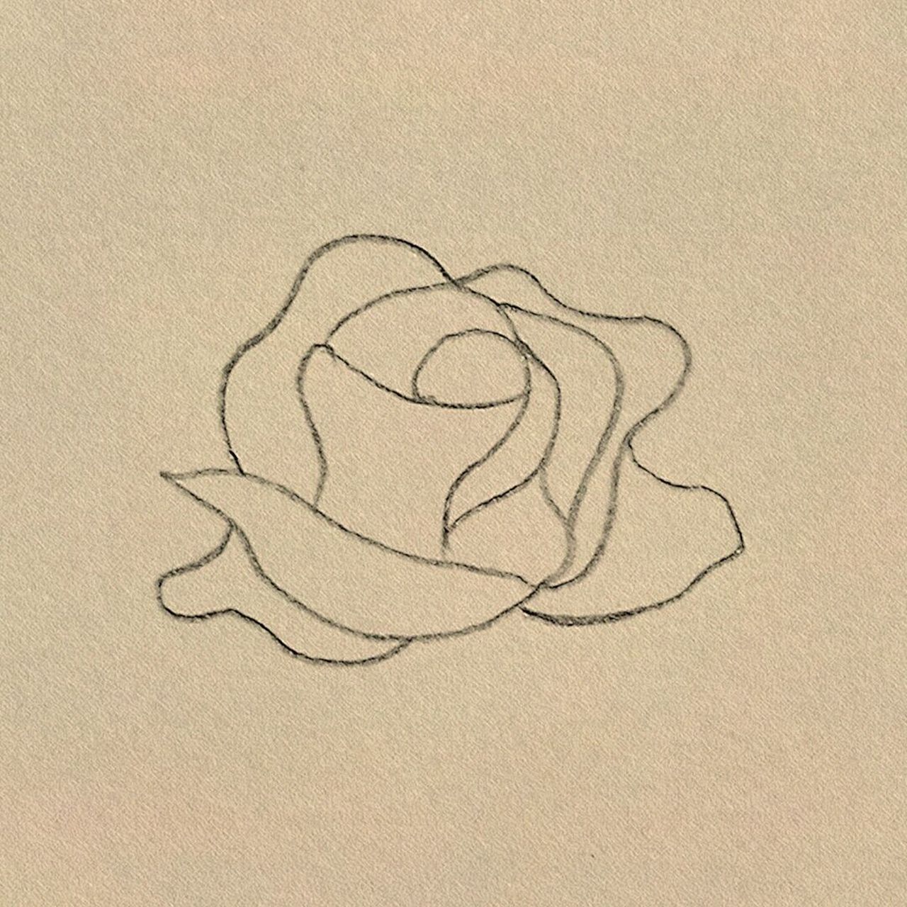 玫瑰花简笔画