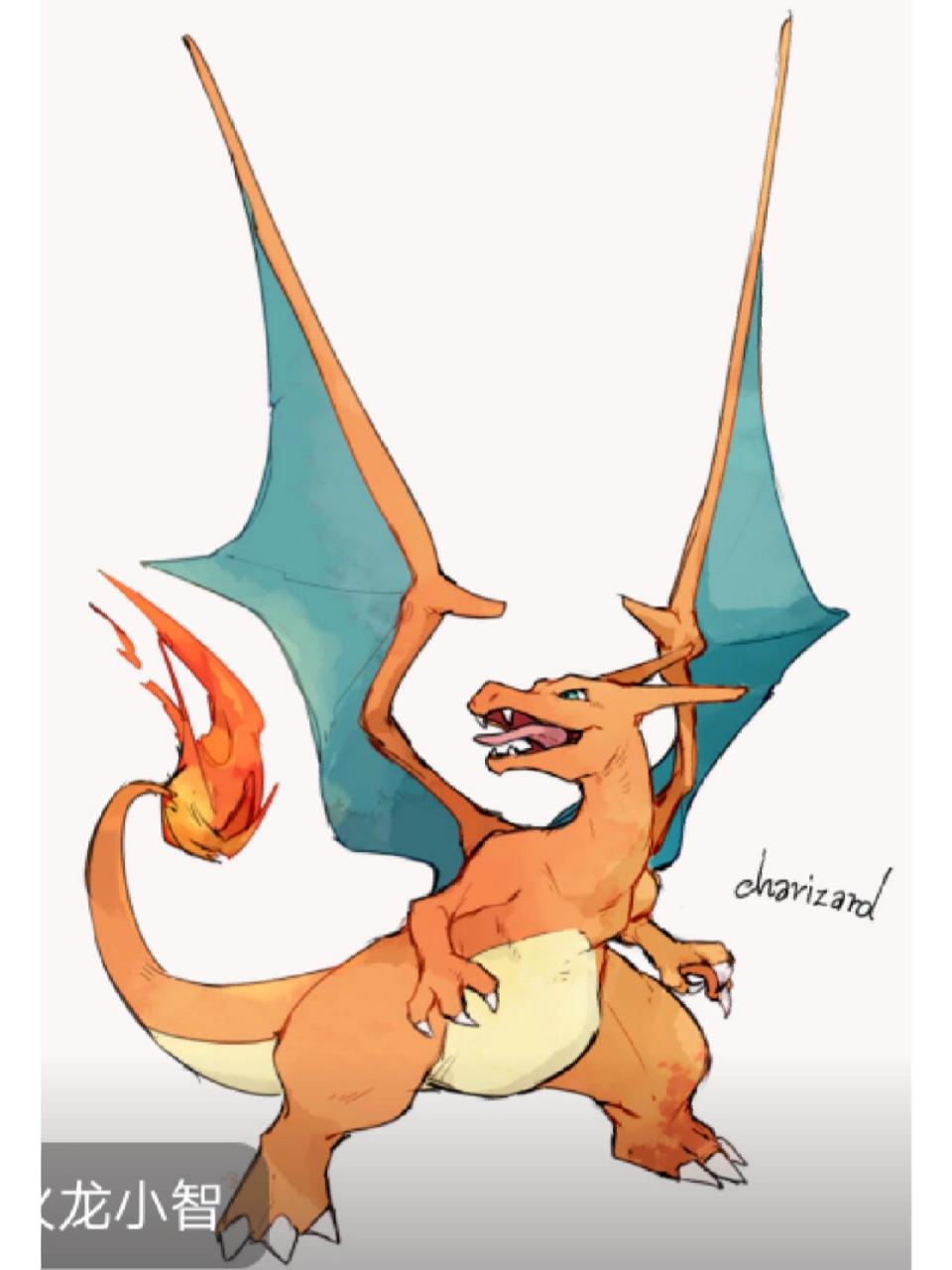 超帅喷火龙绘画教程 你学会了没?9996