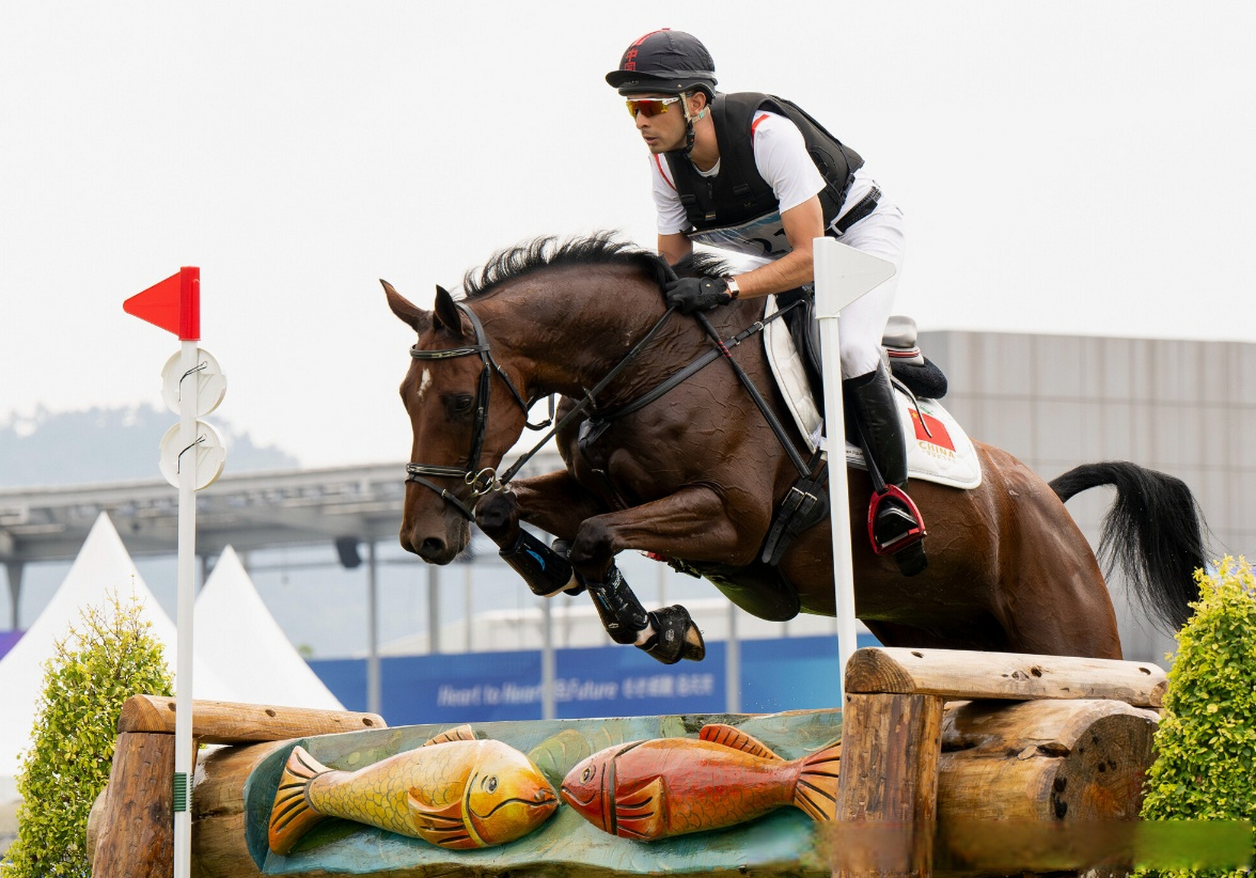 【华天夺得杭州亚运会马术三项赛场地障碍个人金牌】10月2日,杭州第19