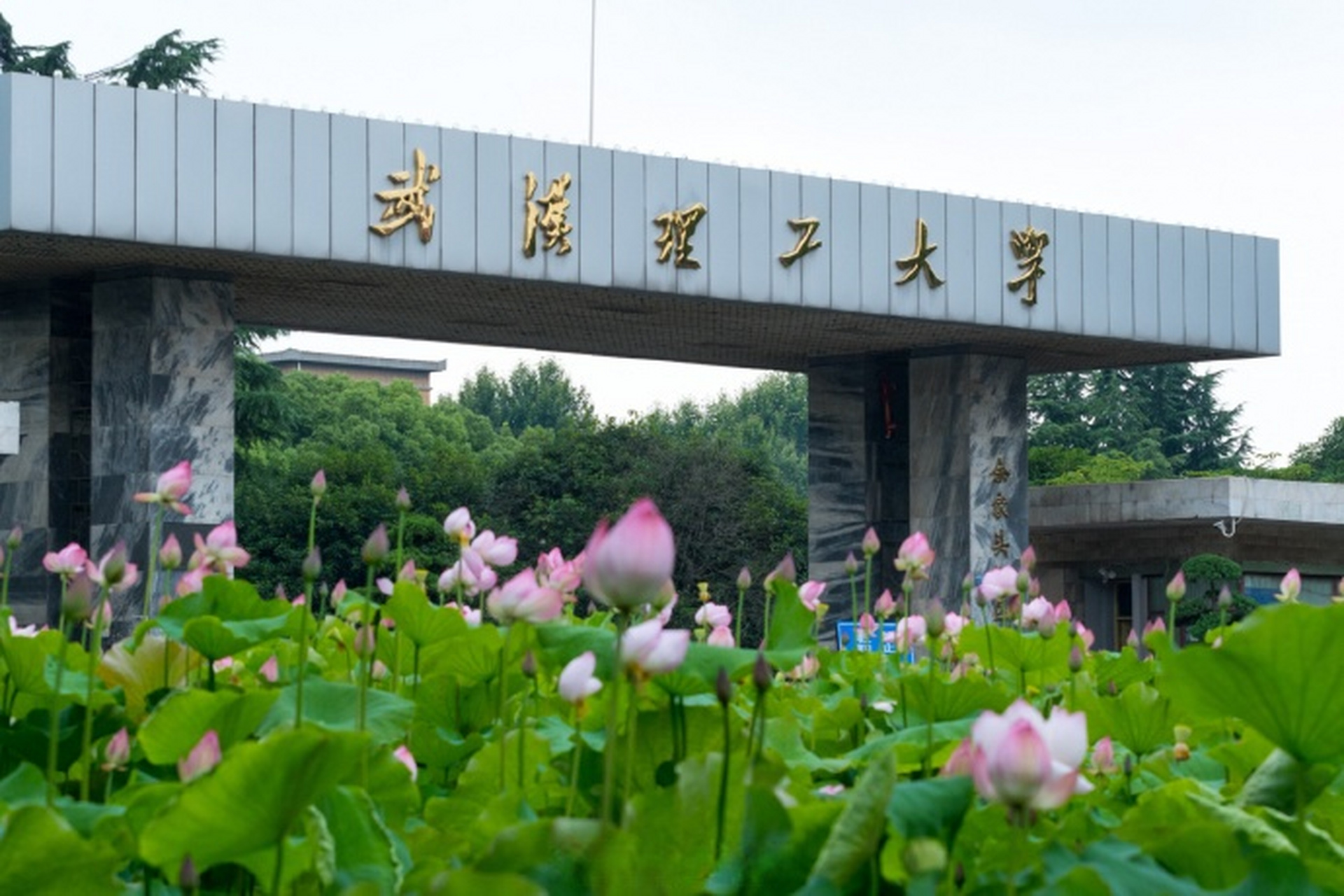湖北文旅资讯#【#湖北8所大学上榜全球500强#】2023自然指数年度榜单