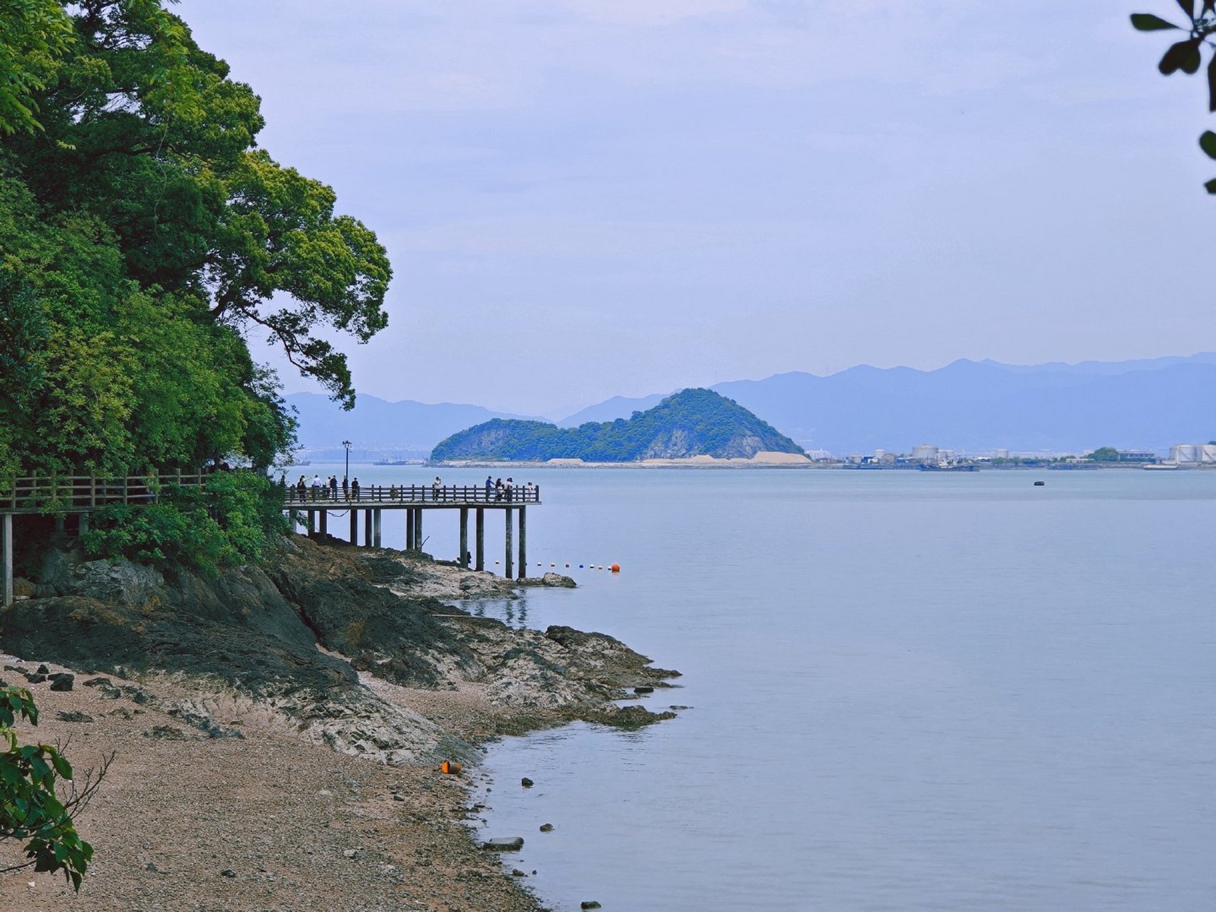 小狗游记# 浙江省宁波市宁海县横山岛.